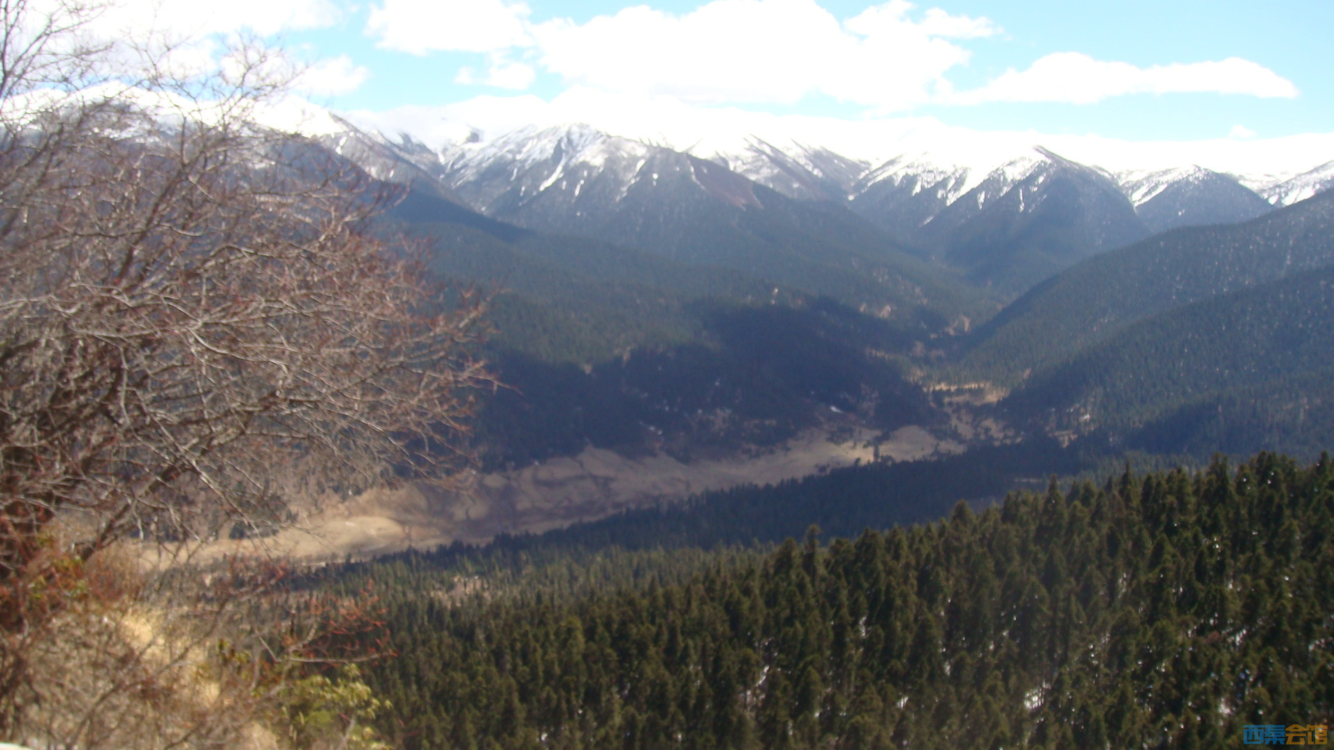 DSC01036.JPG