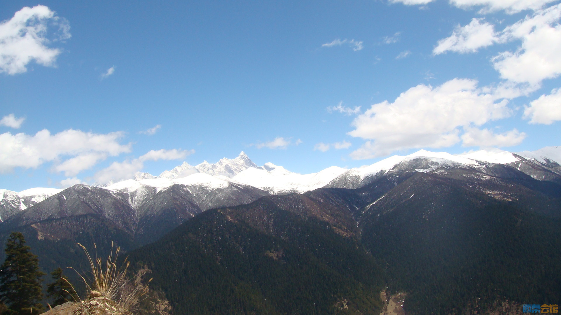 DSC01037.JPG