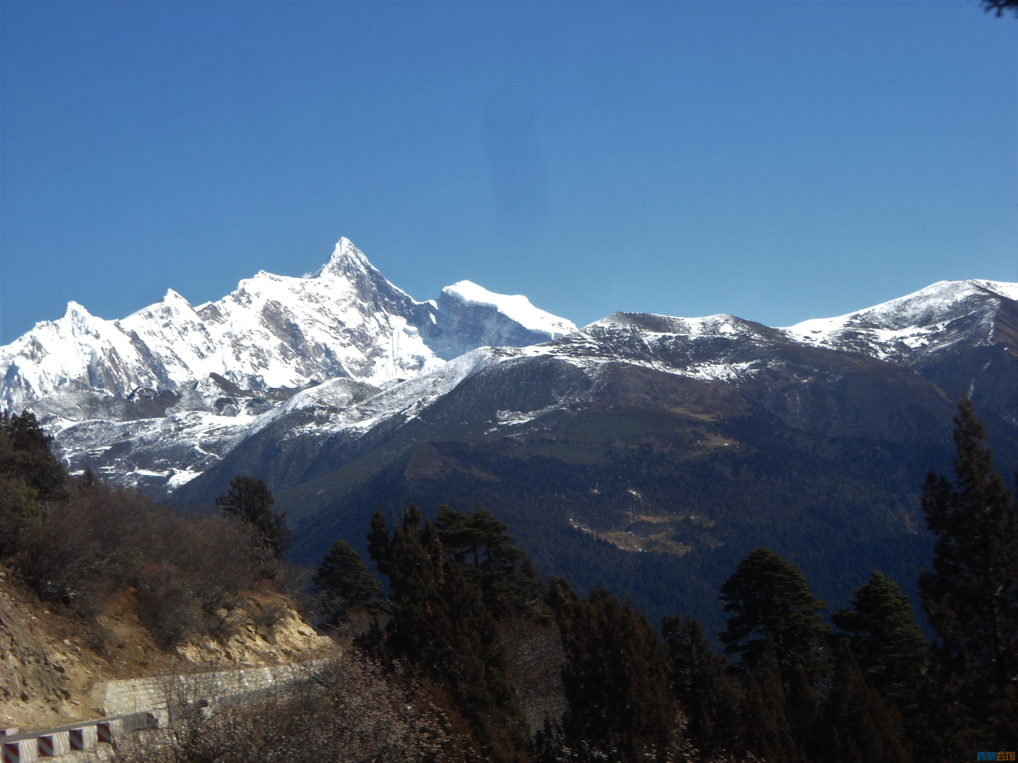 DSCN1775.JPG