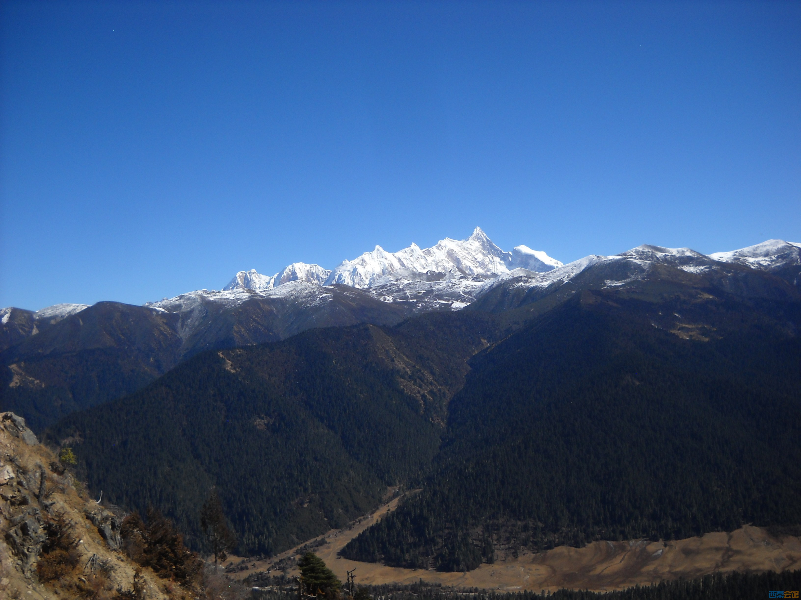 DSCN1785.JPG
