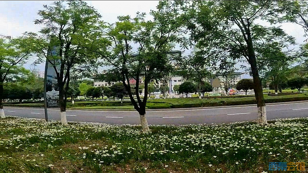 conew_QQͼ20230806123632.jpg