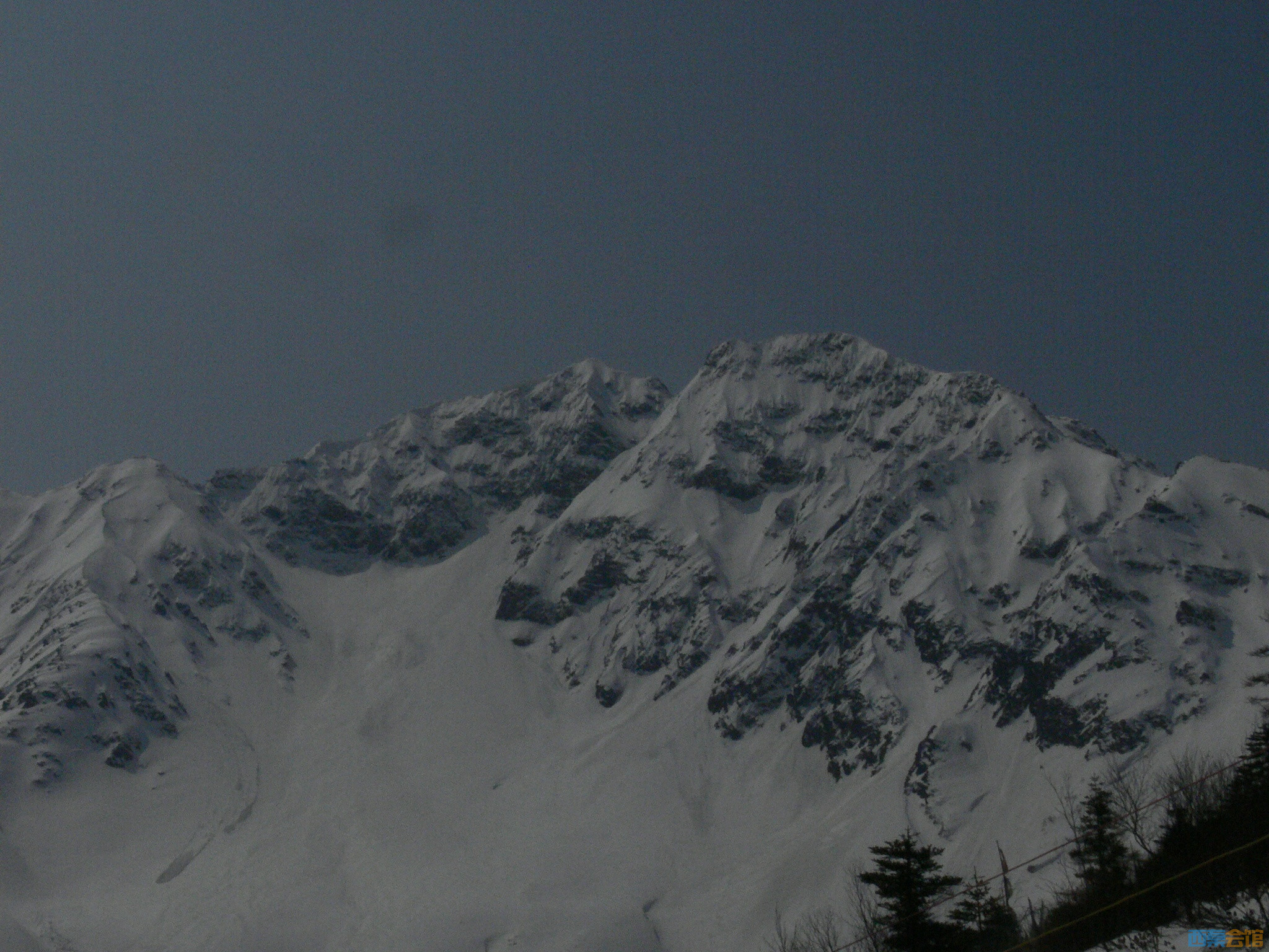 P1130004.jpg
