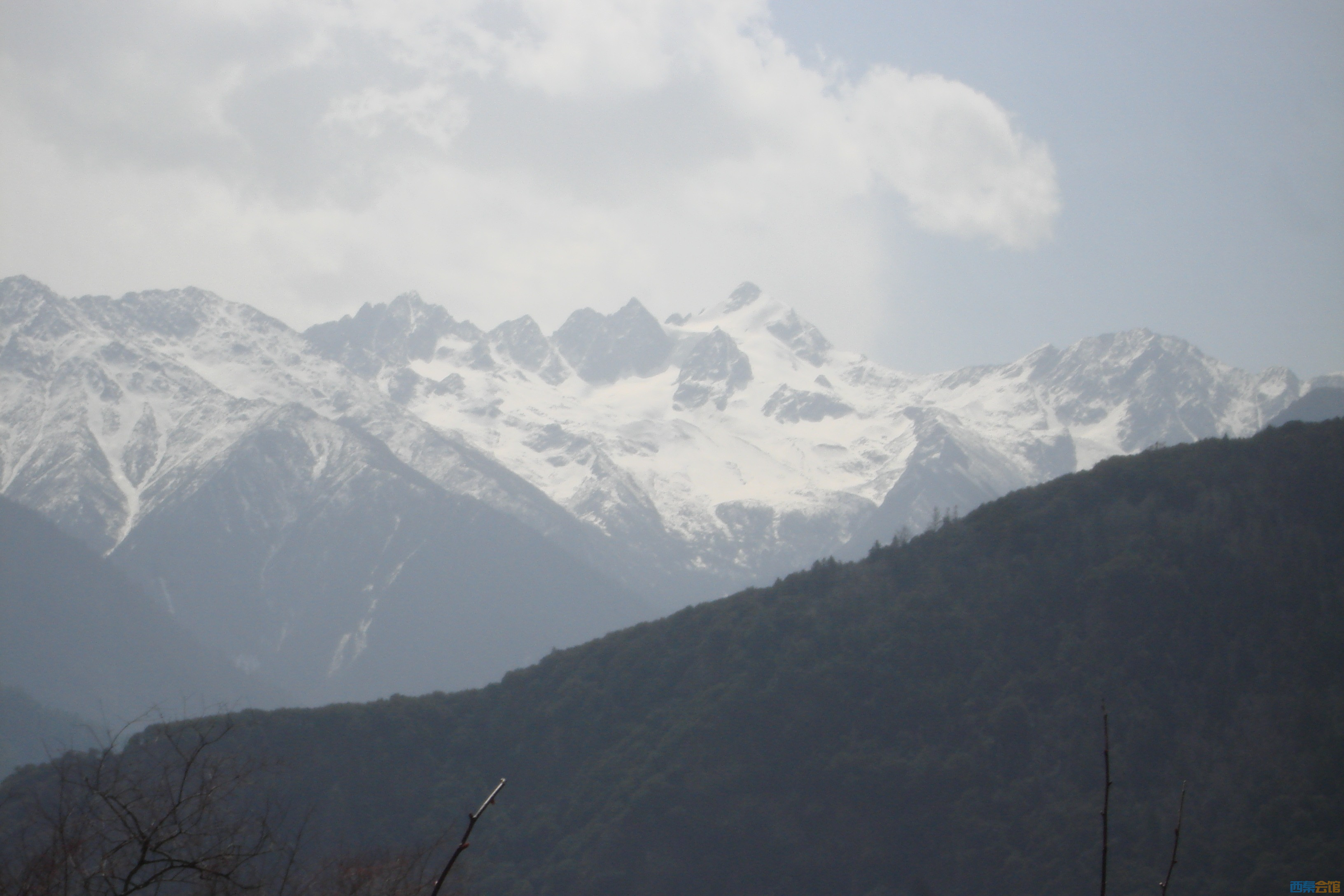 DSC03099.jpg