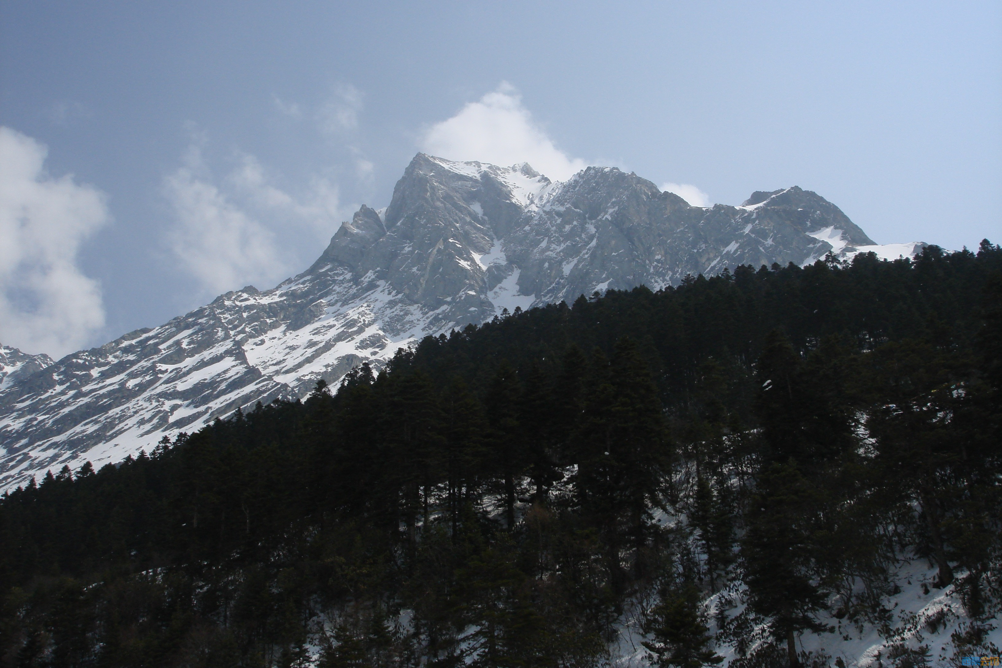 DSC03107.jpg