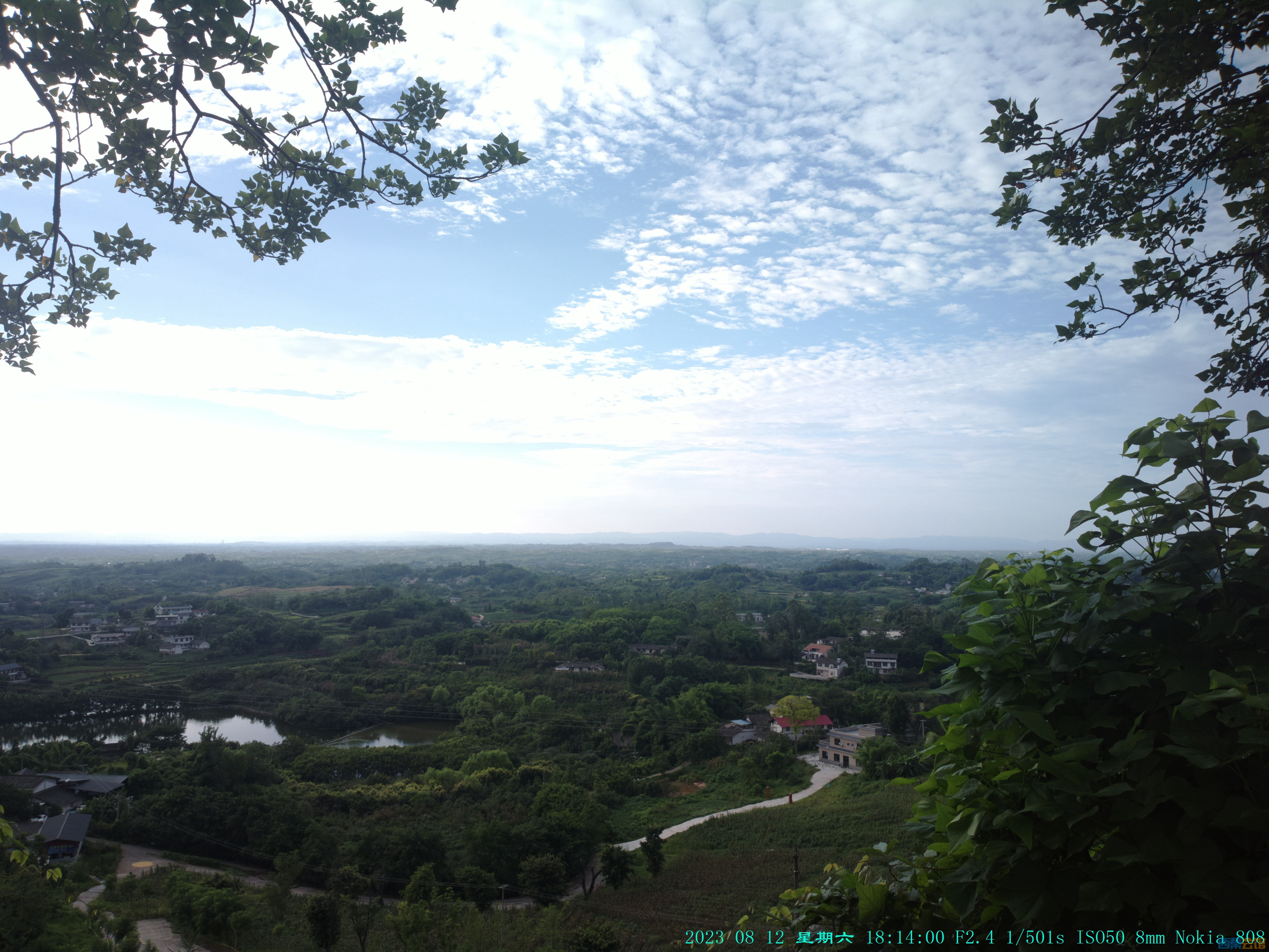 2023-08-12-1238.jpg