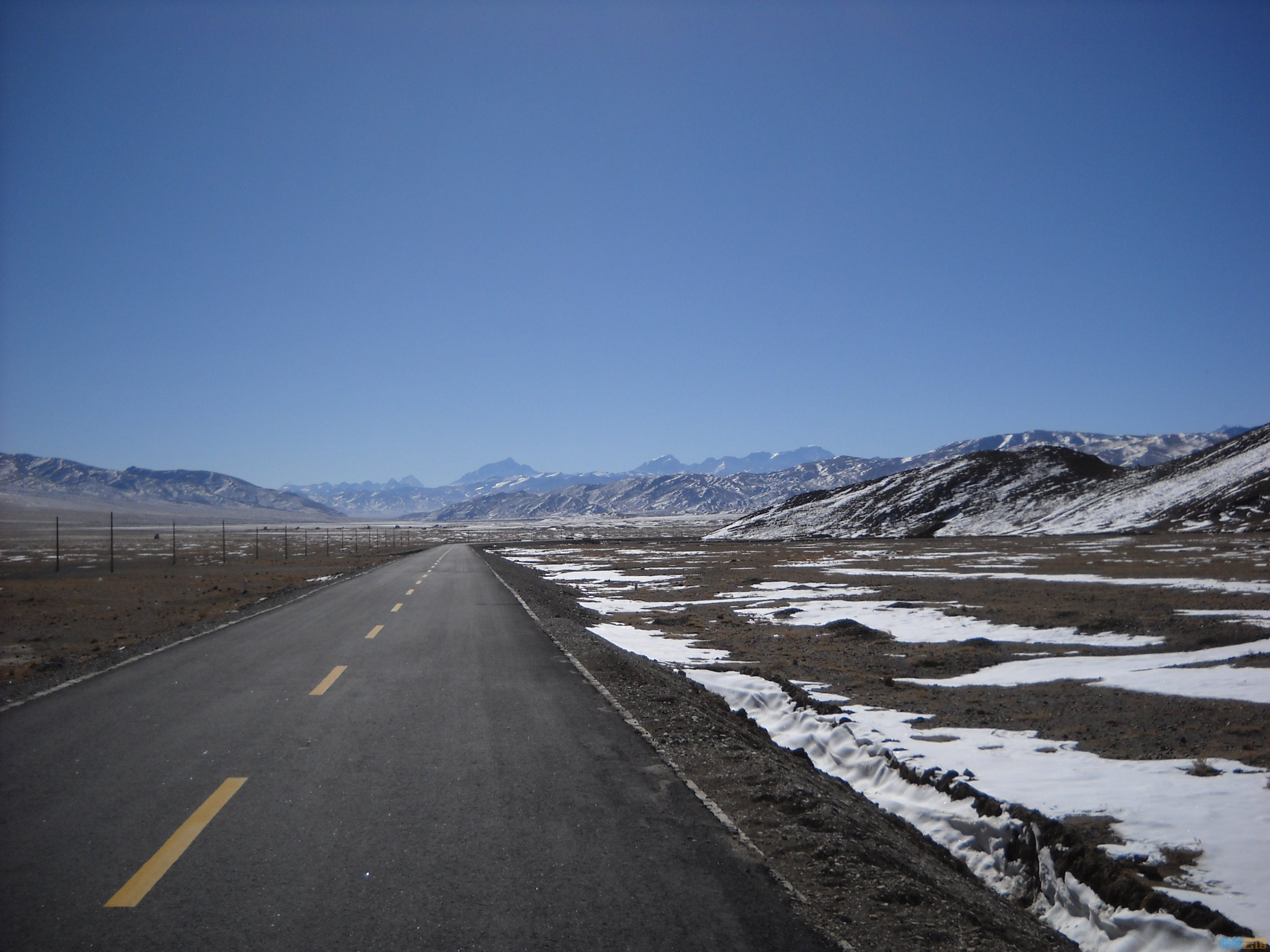 DSCN4241.jpg