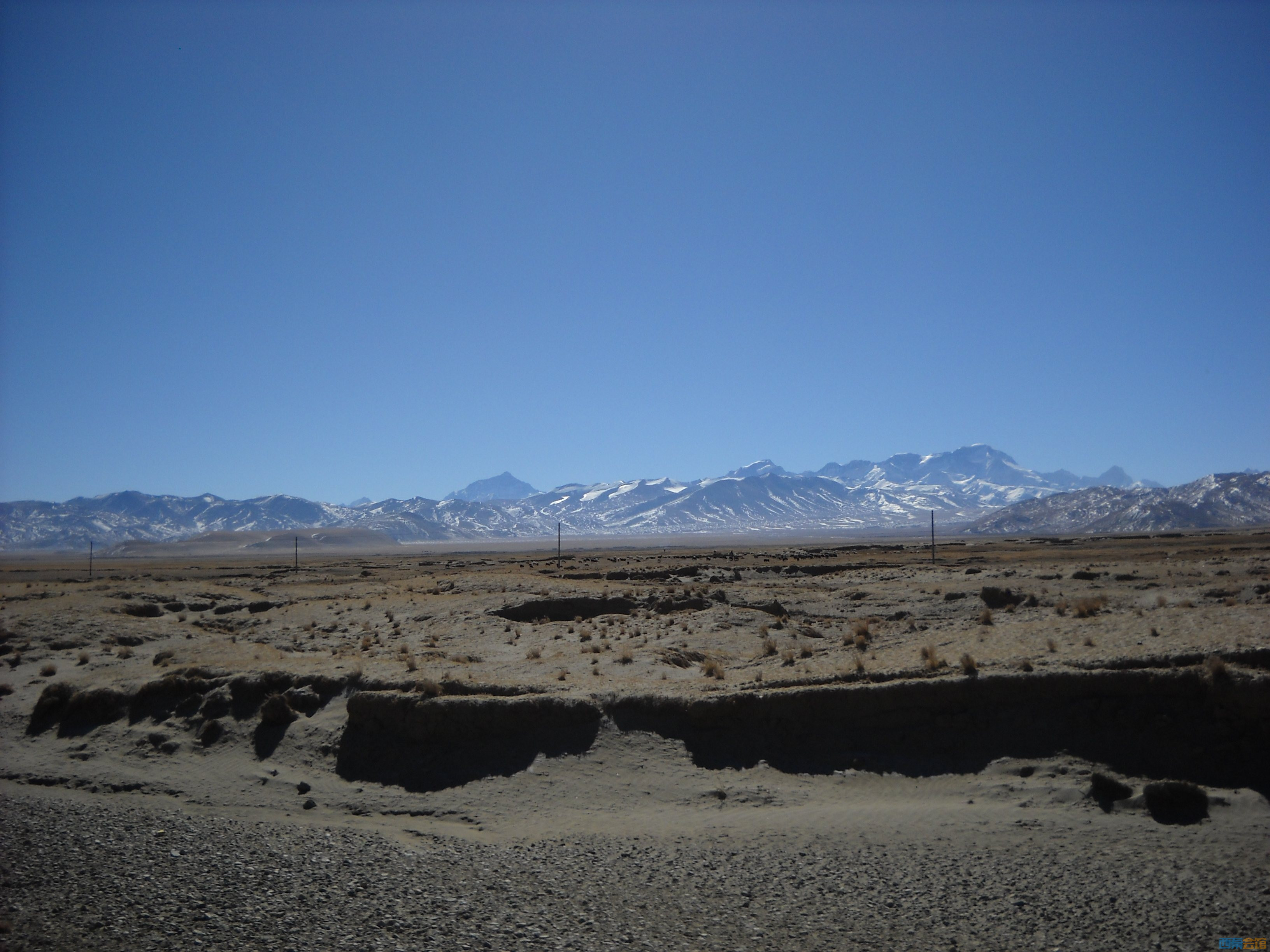 DSCN4244.jpg