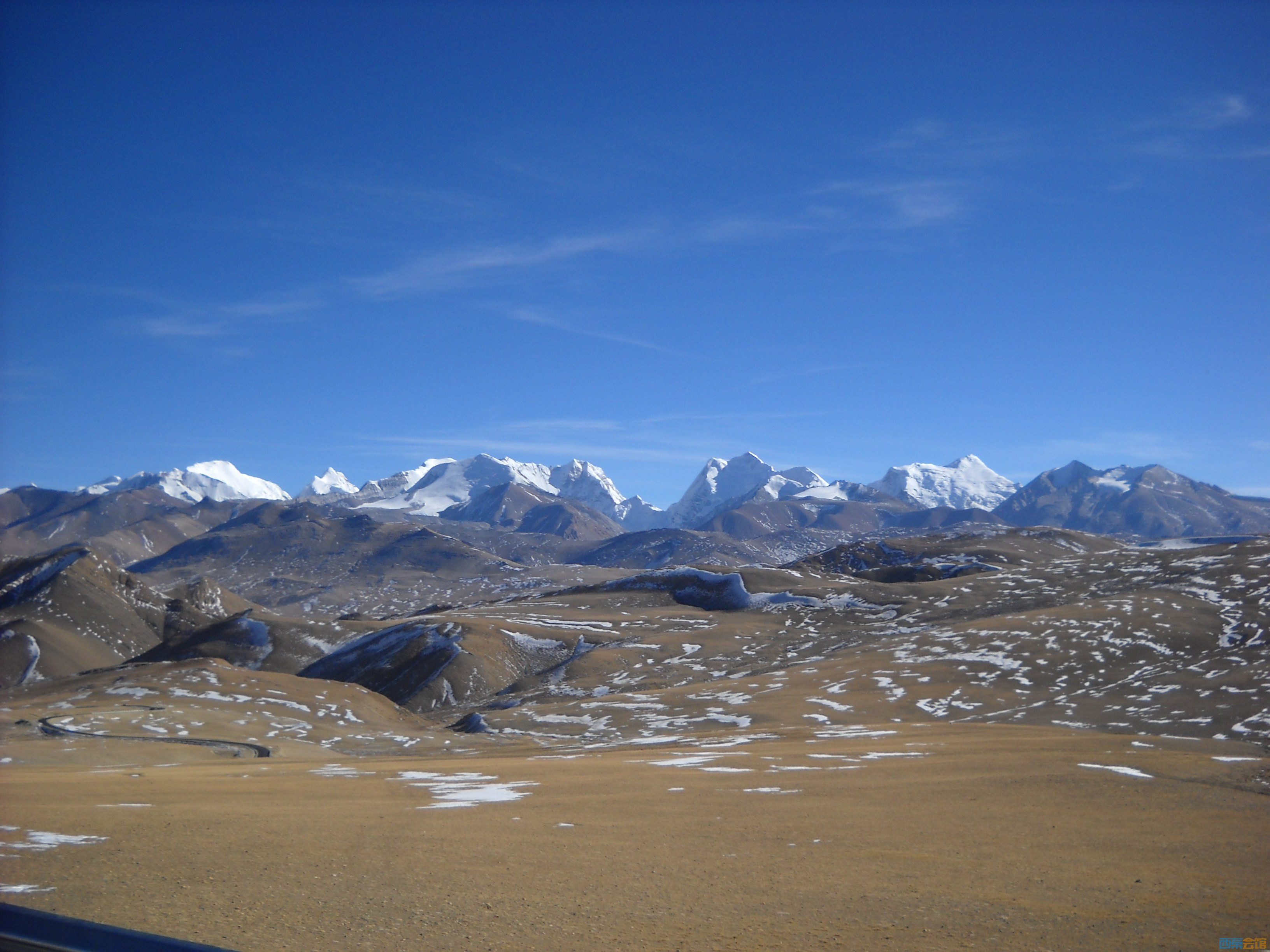 DSCN4461.jpg