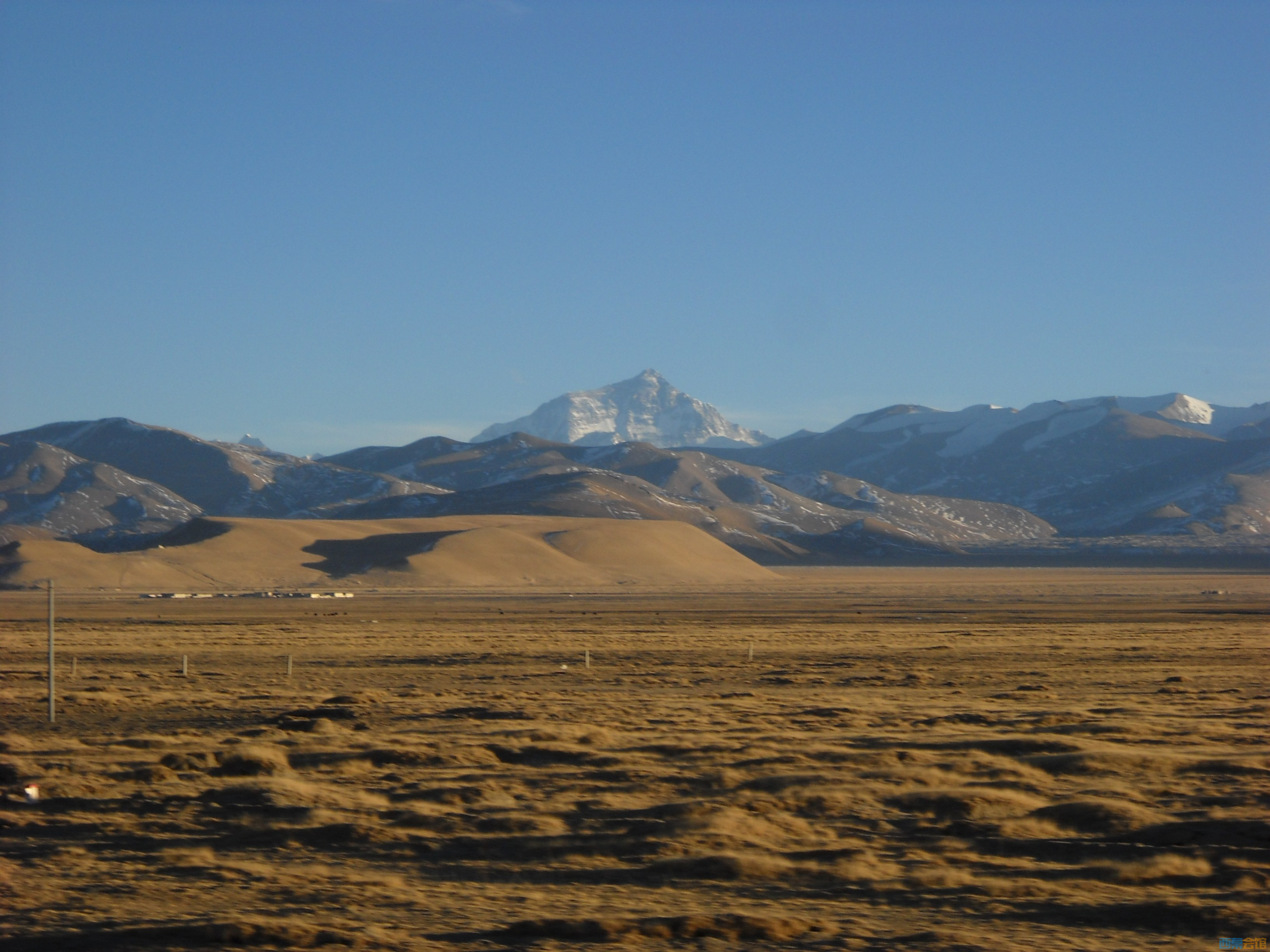 DSCN4476.jpg