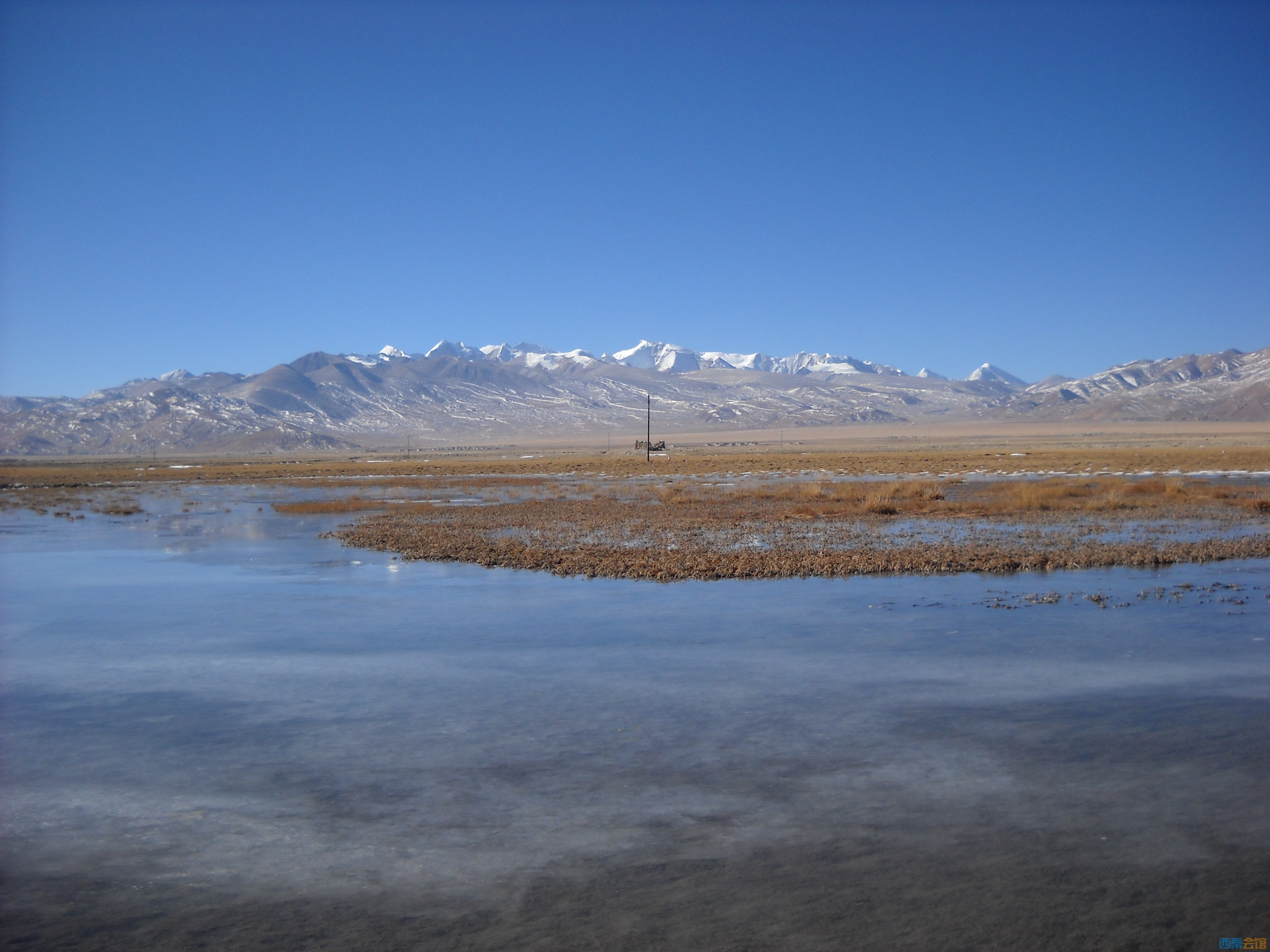 DSCN4506.jpg