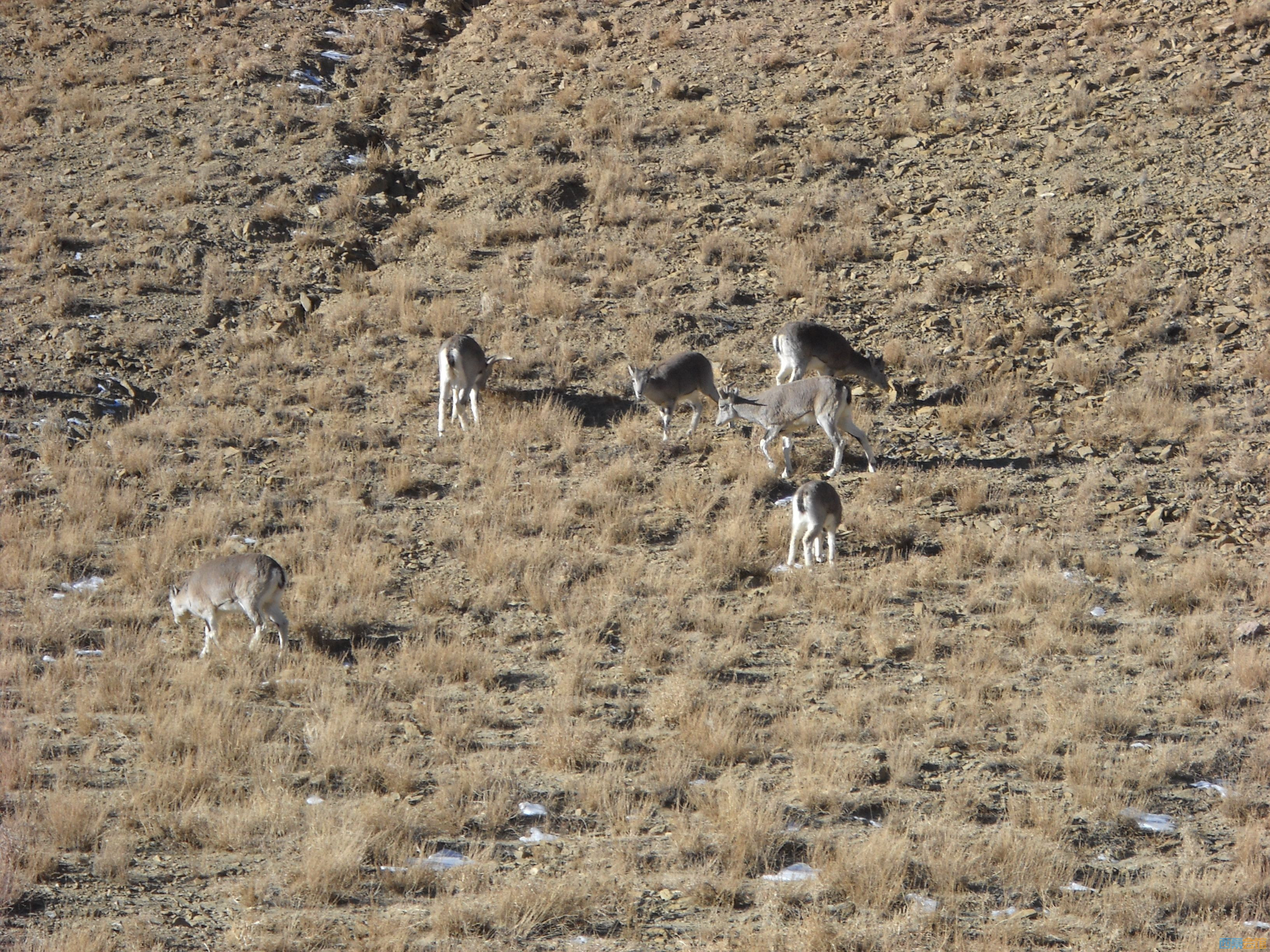 DSCN4595.jpg
