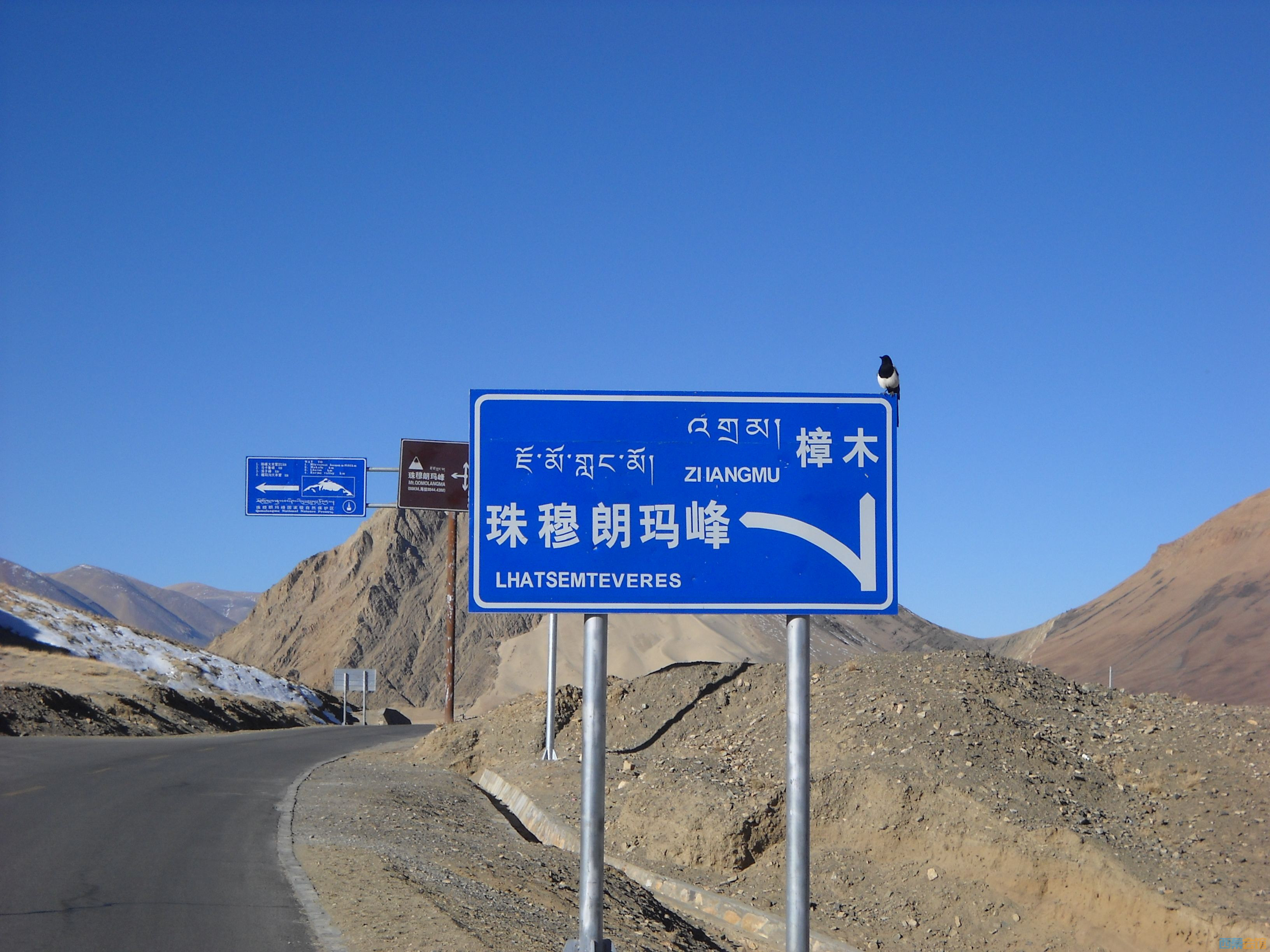 DSCN4605.jpg