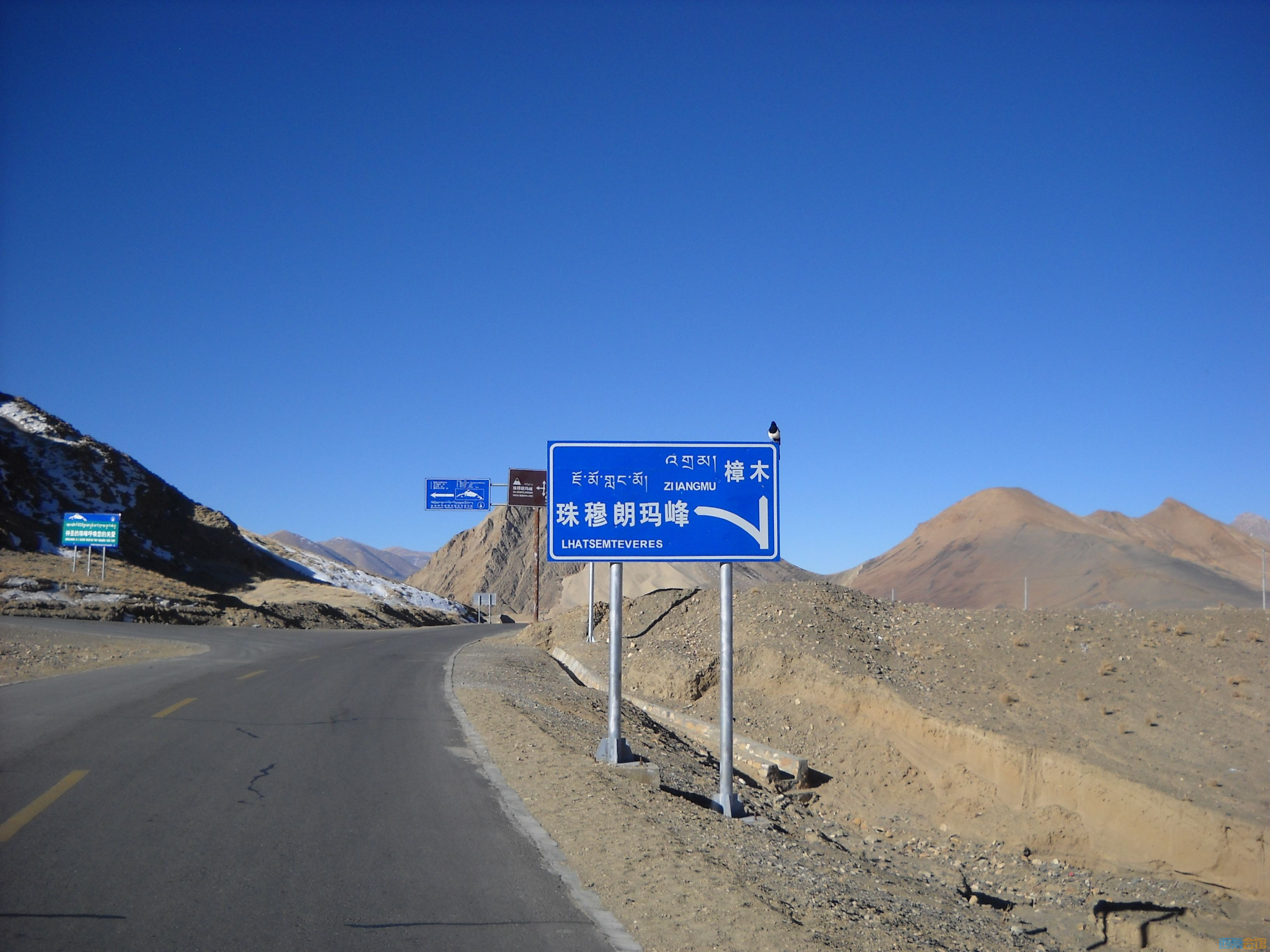 DSCN4606.jpg