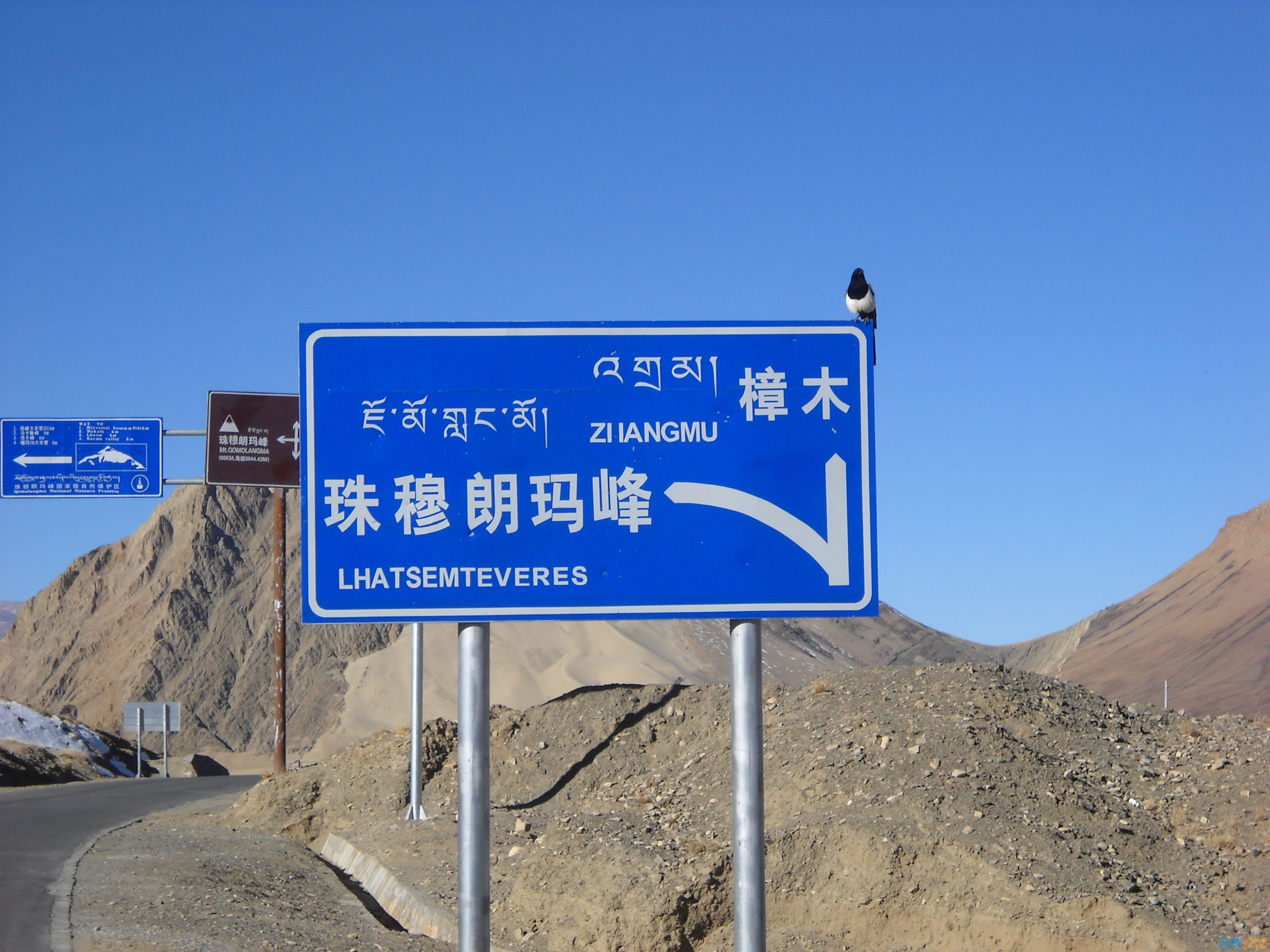 DSCN4607.jpg