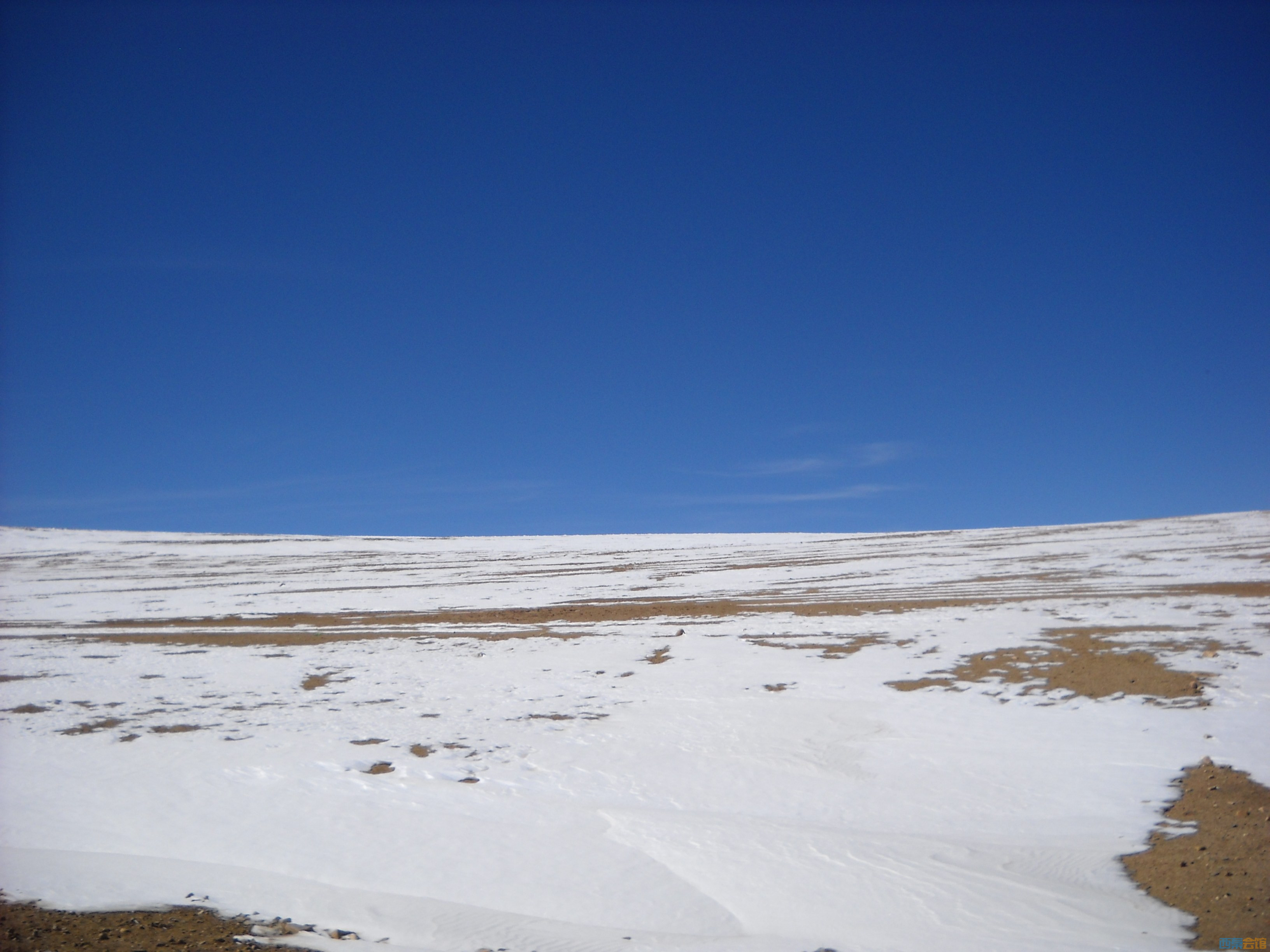 DSCN4348.jpg