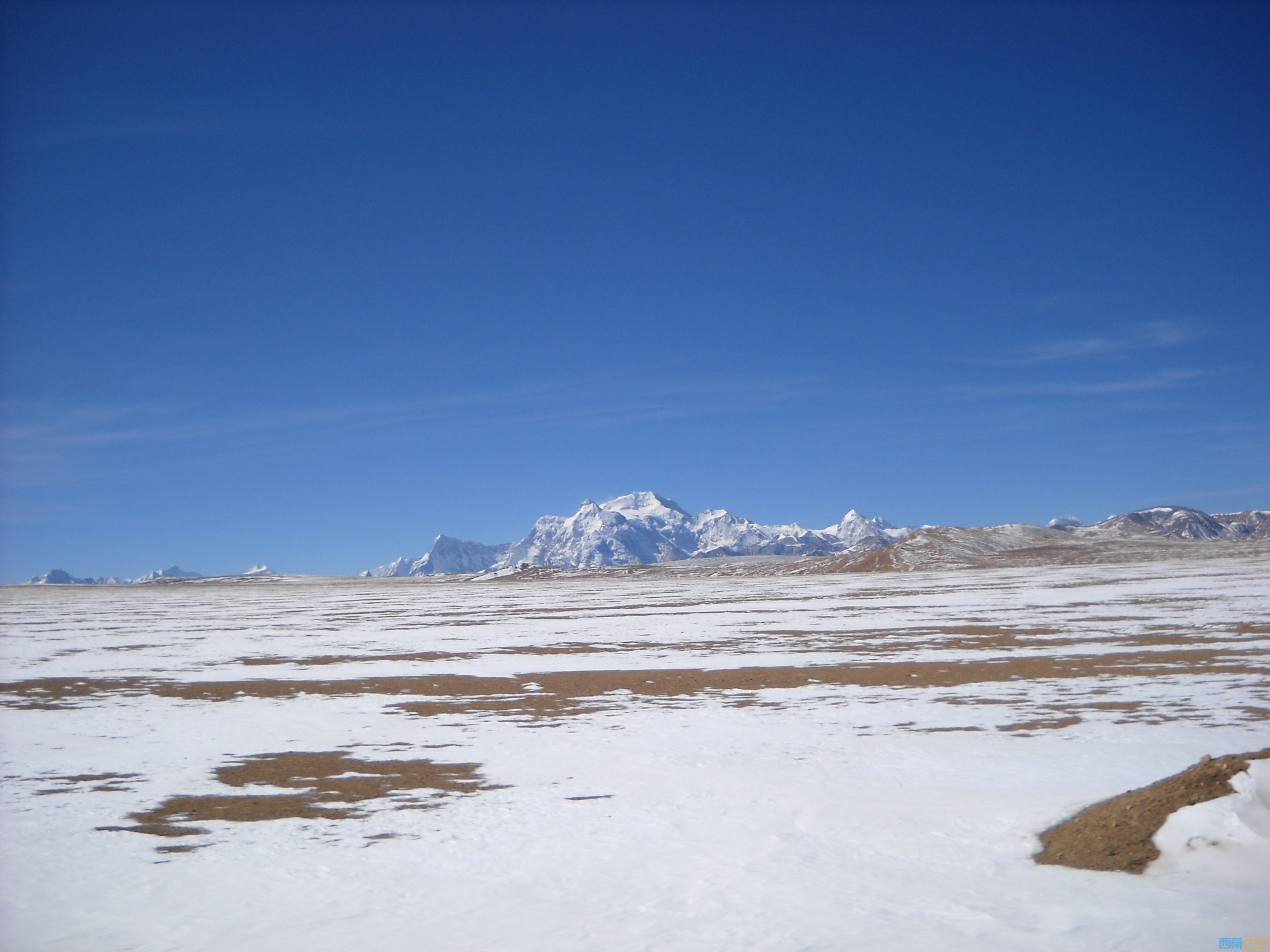 DSCN4360.jpg