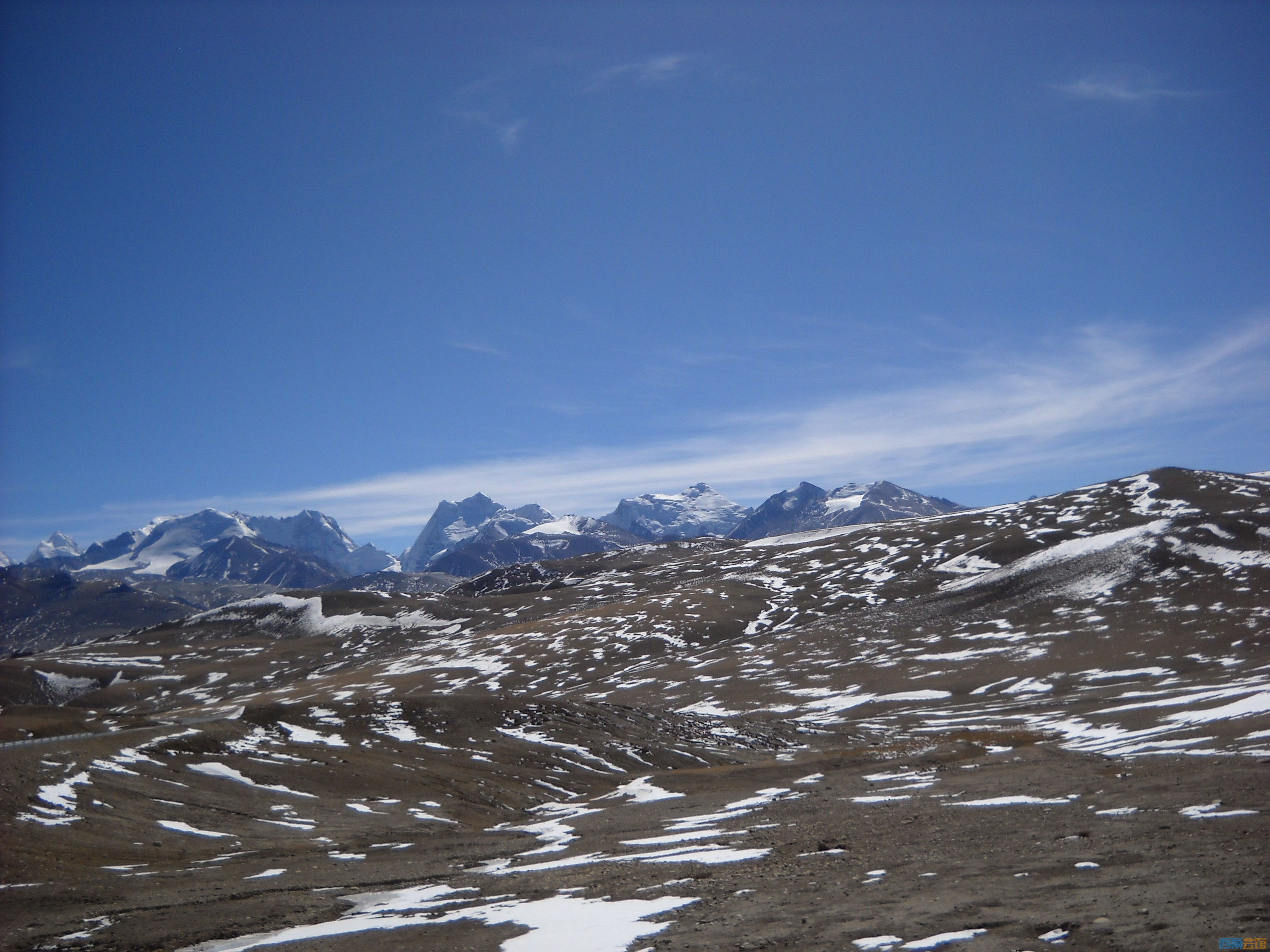 DSCN4385.jpg