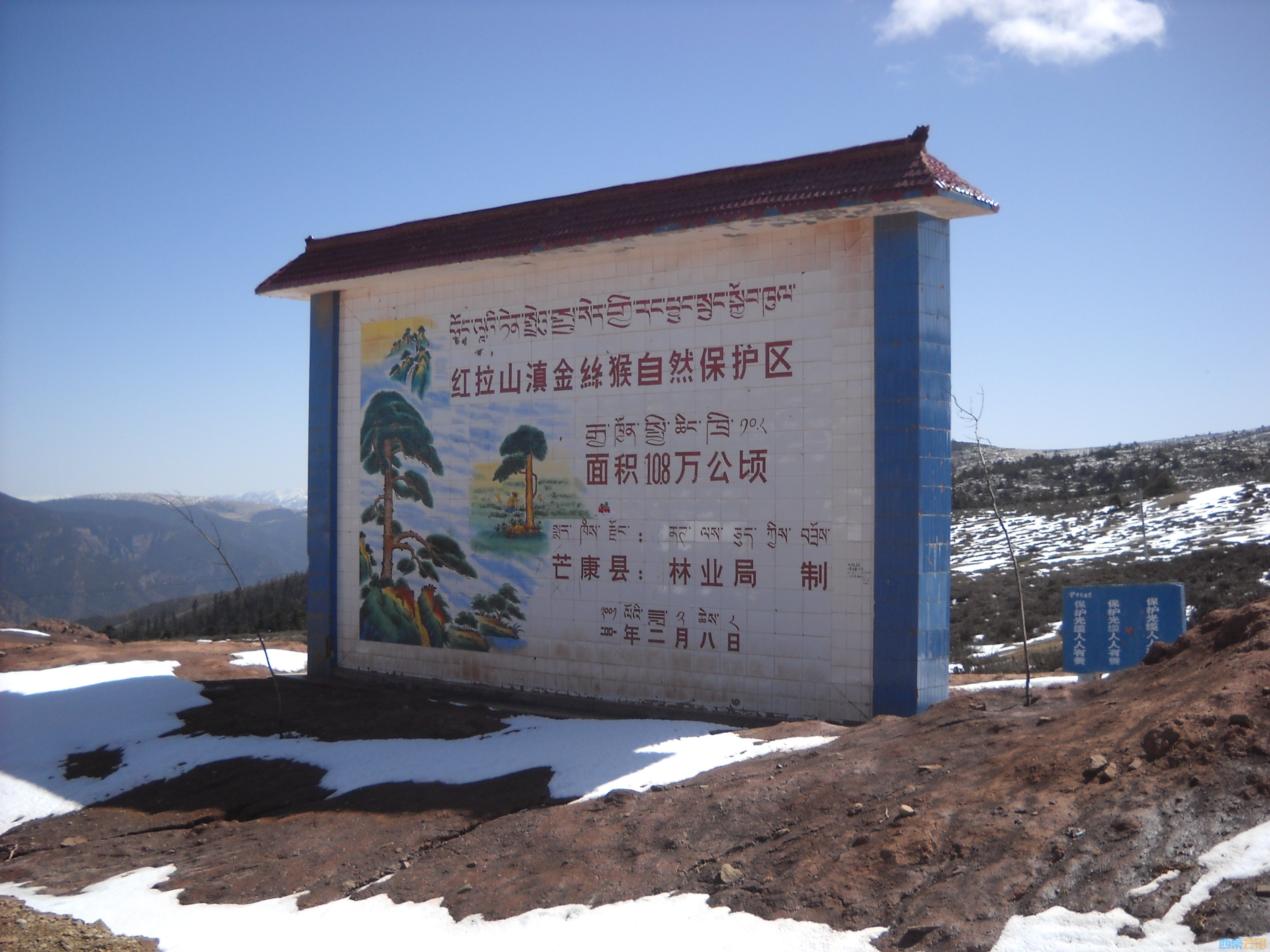 DSCN8147.jpg