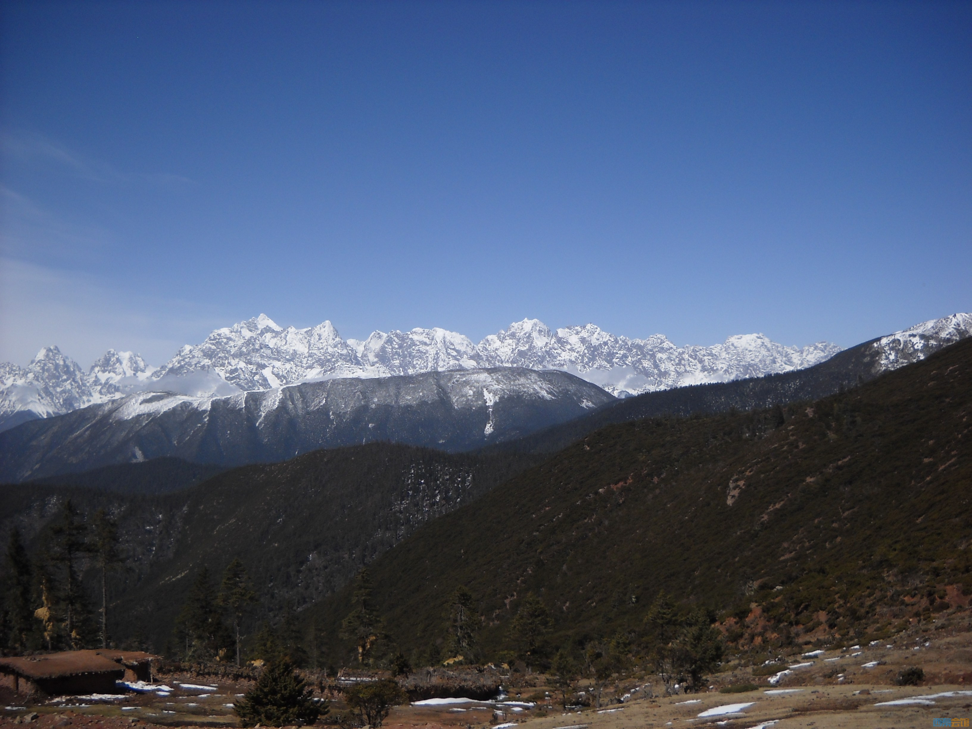 DSCN8154.jpg