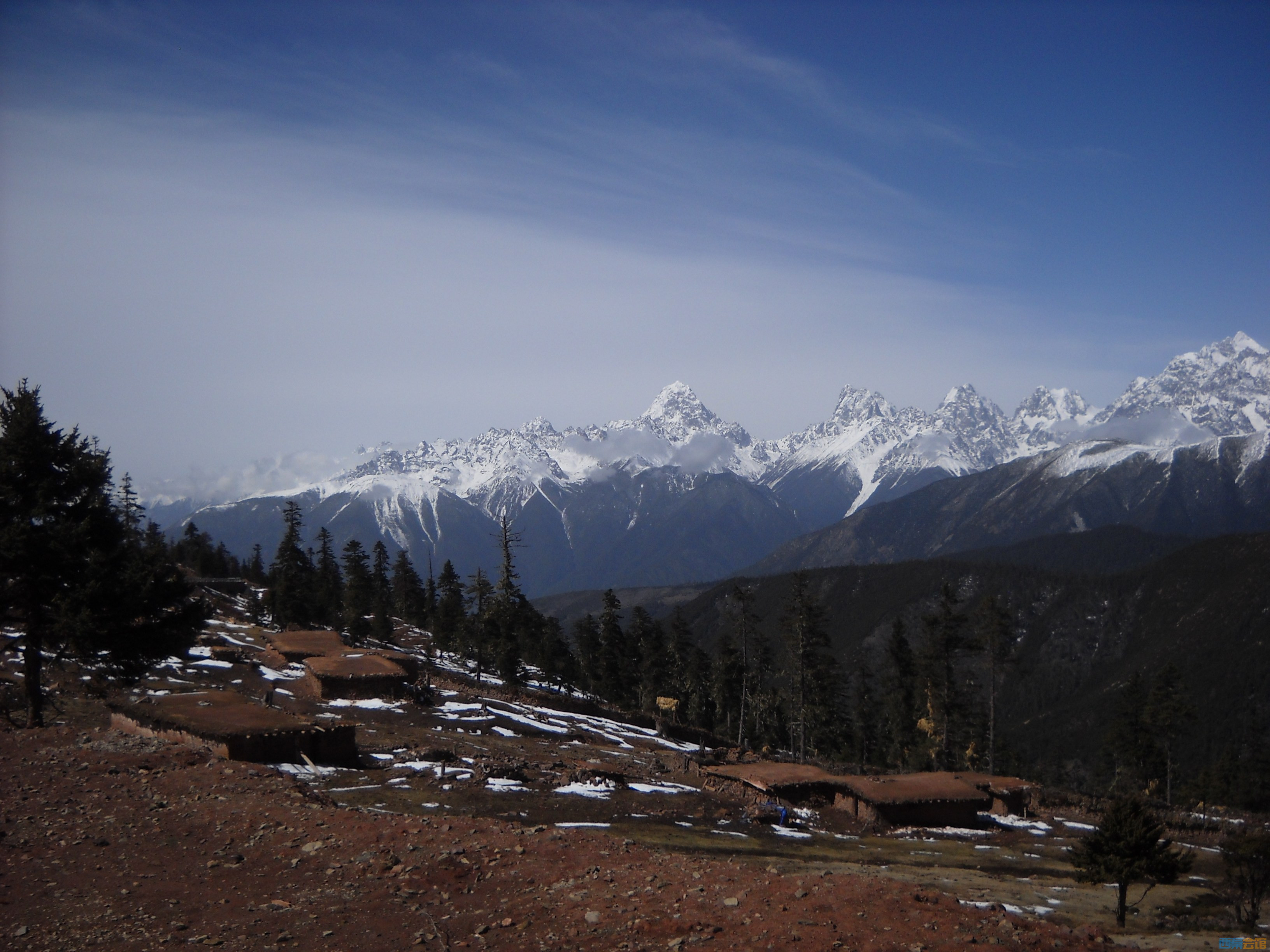 DSCN8155.jpg