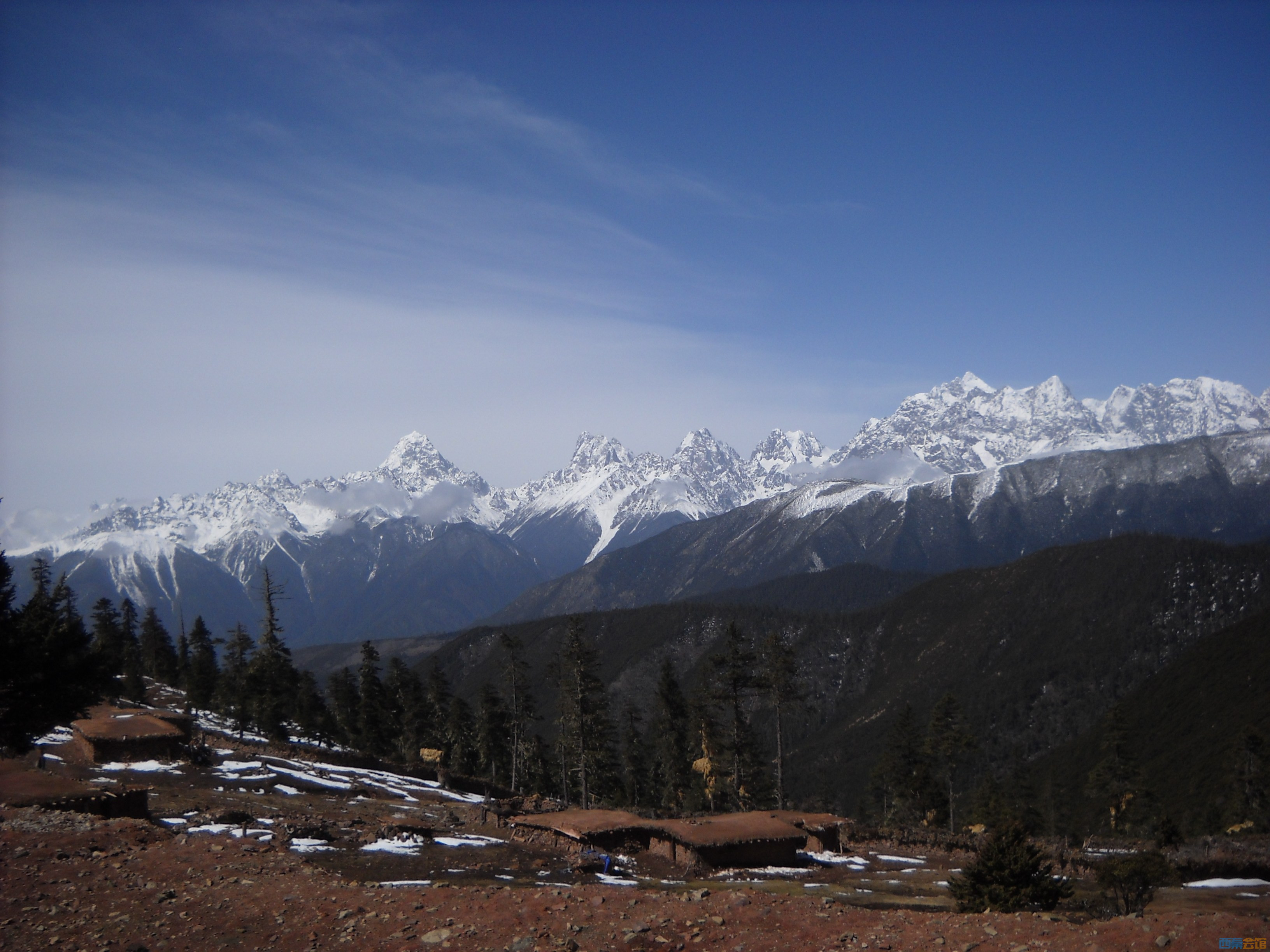 DSCN8153.jpg