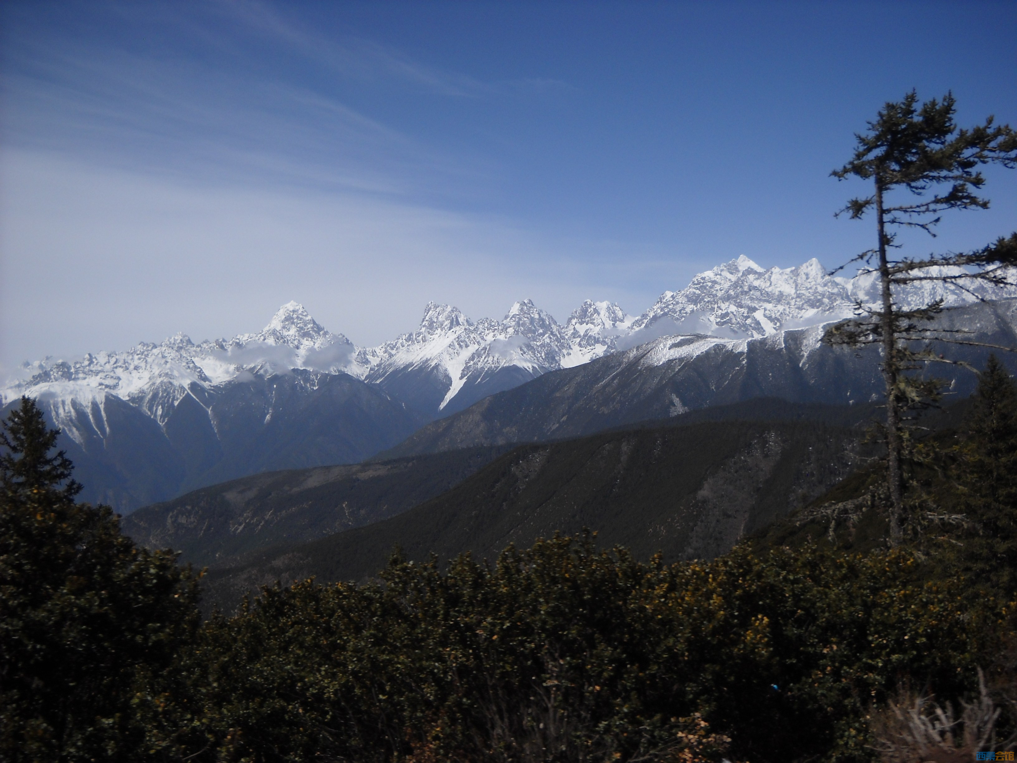 DSCN8161.jpg
