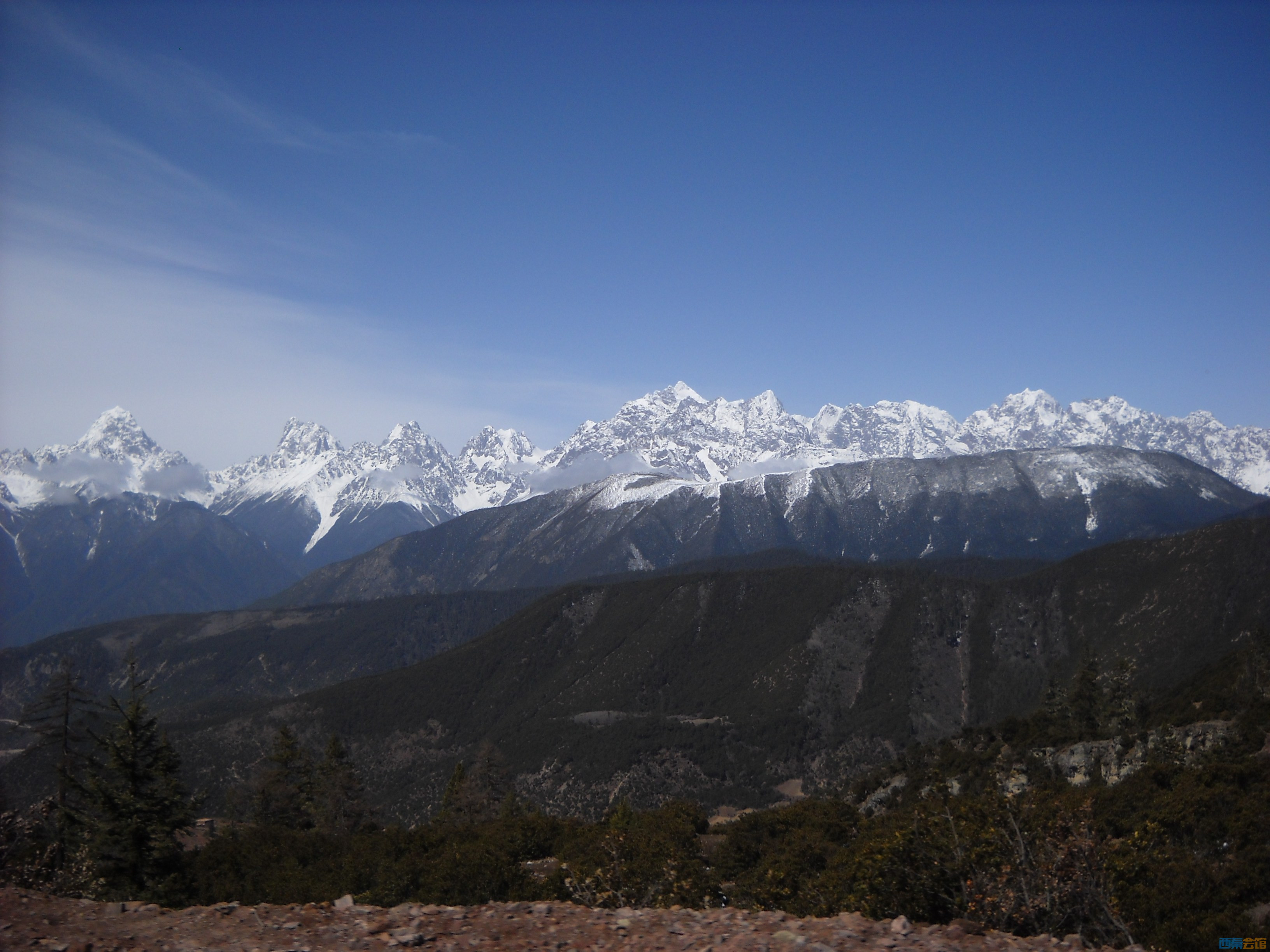 DSCN8163.jpg