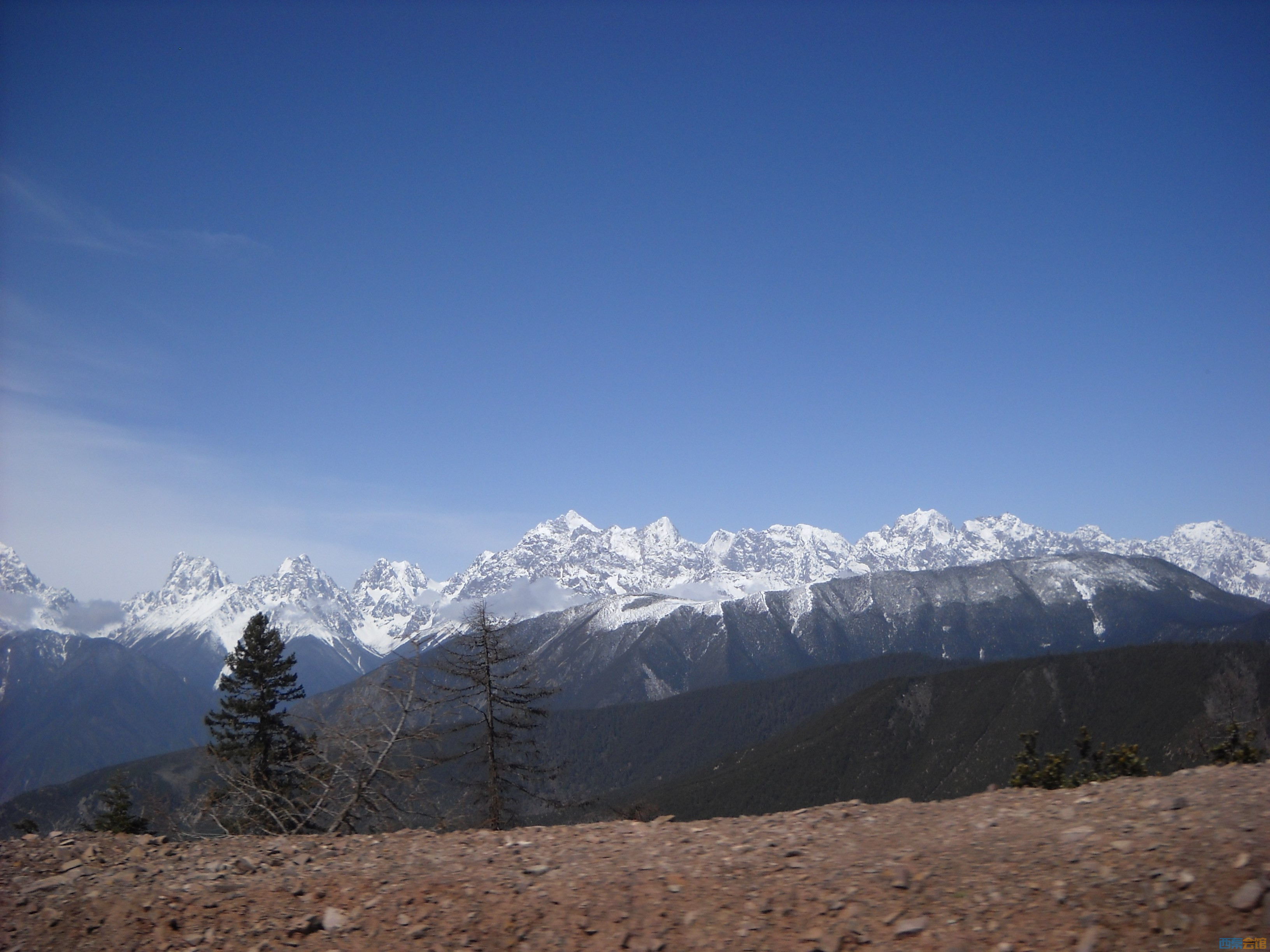 DSCN8170.jpg