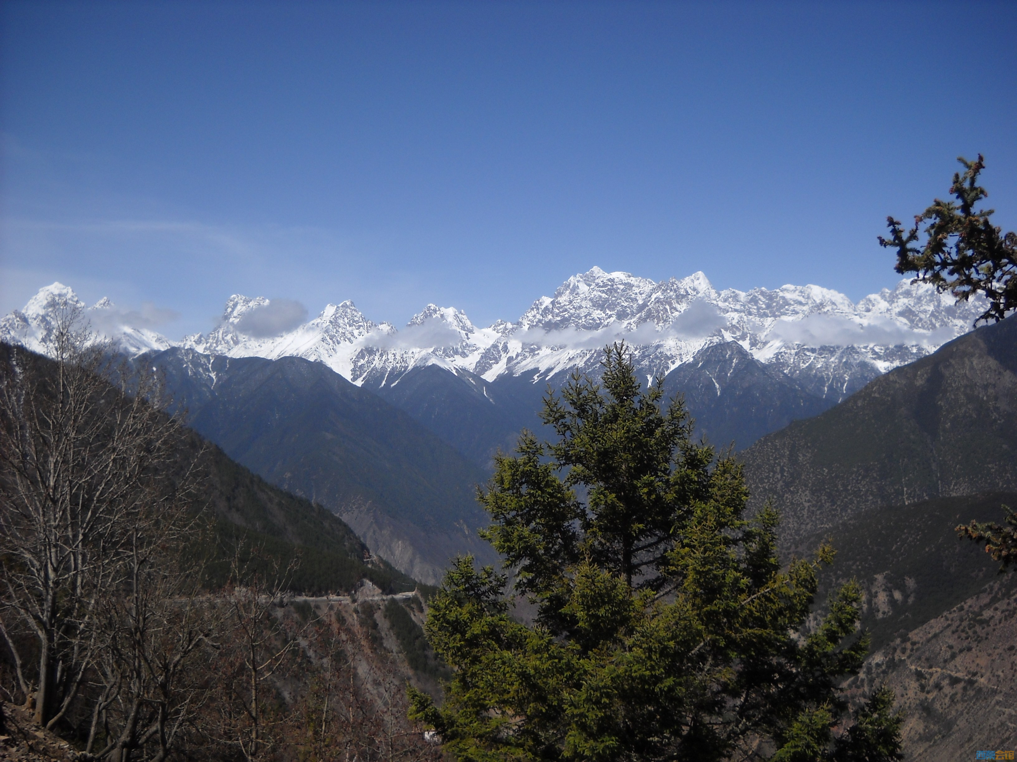 DSCN8187.jpg