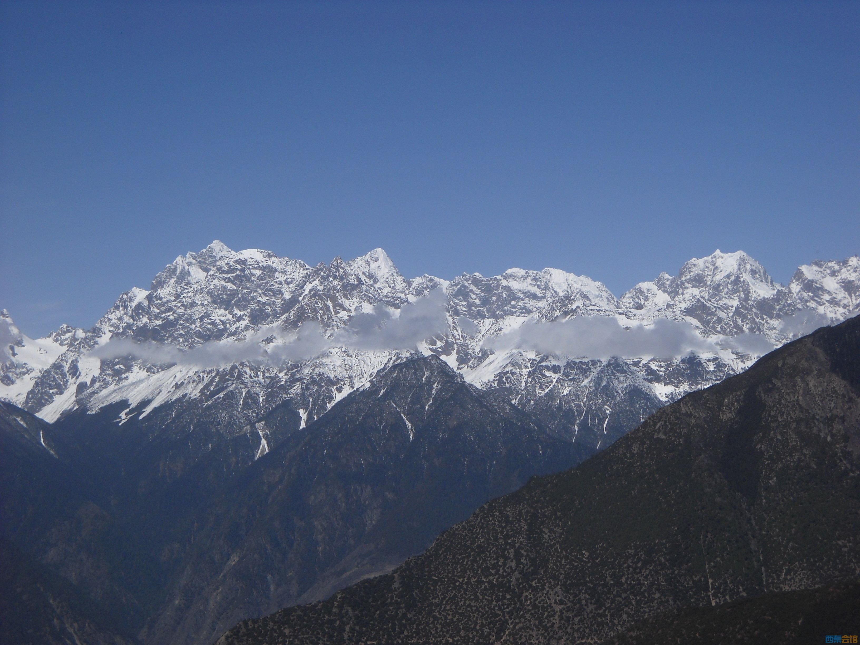 DSCN8198.jpg