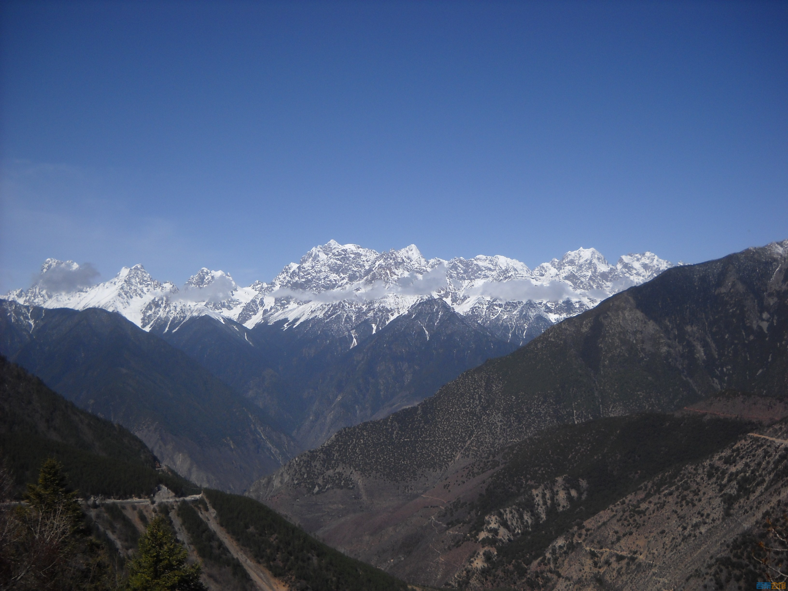 DSCN8199.jpg