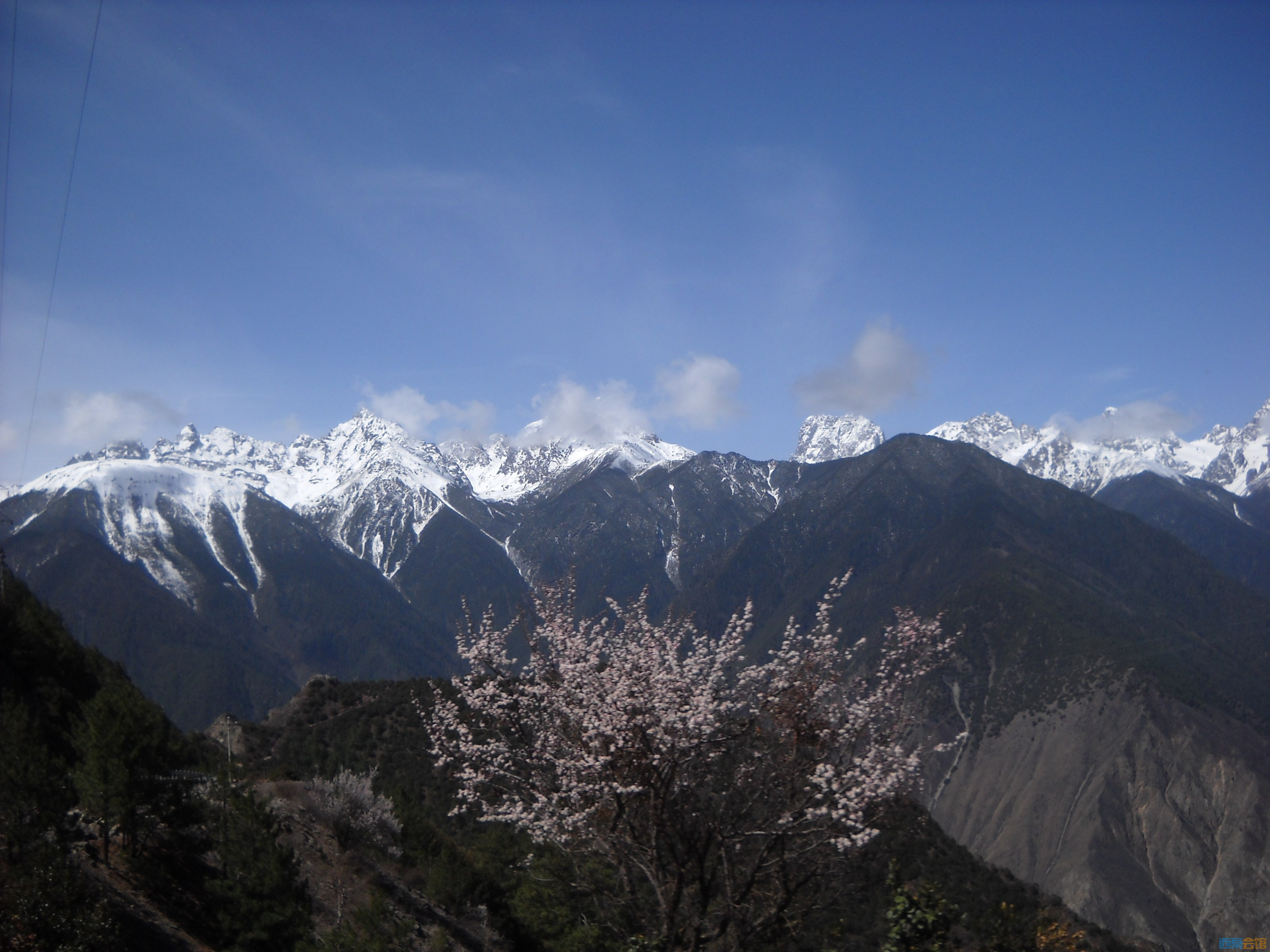 DSCN8204.jpg