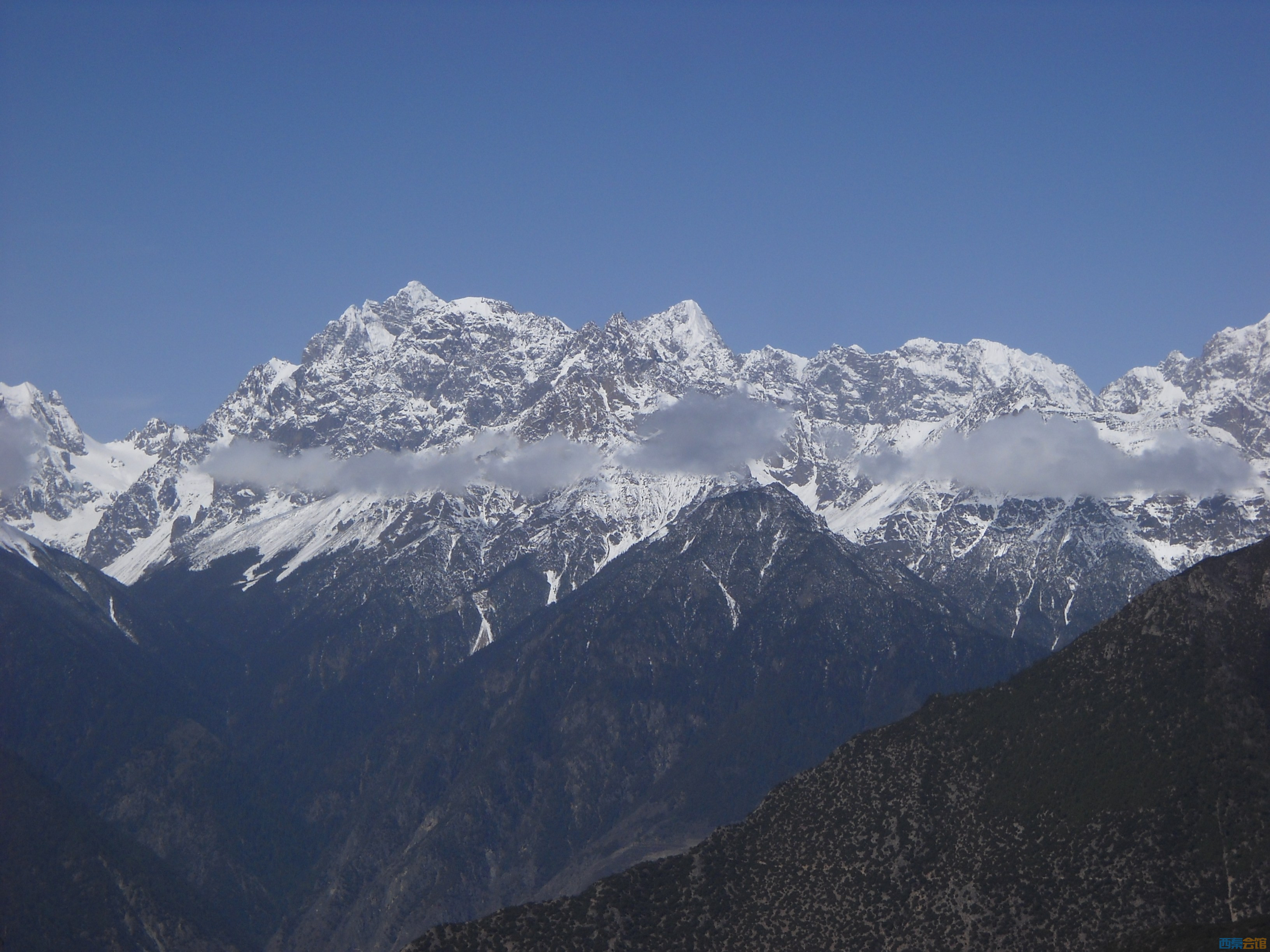 DSCN8193.jpg