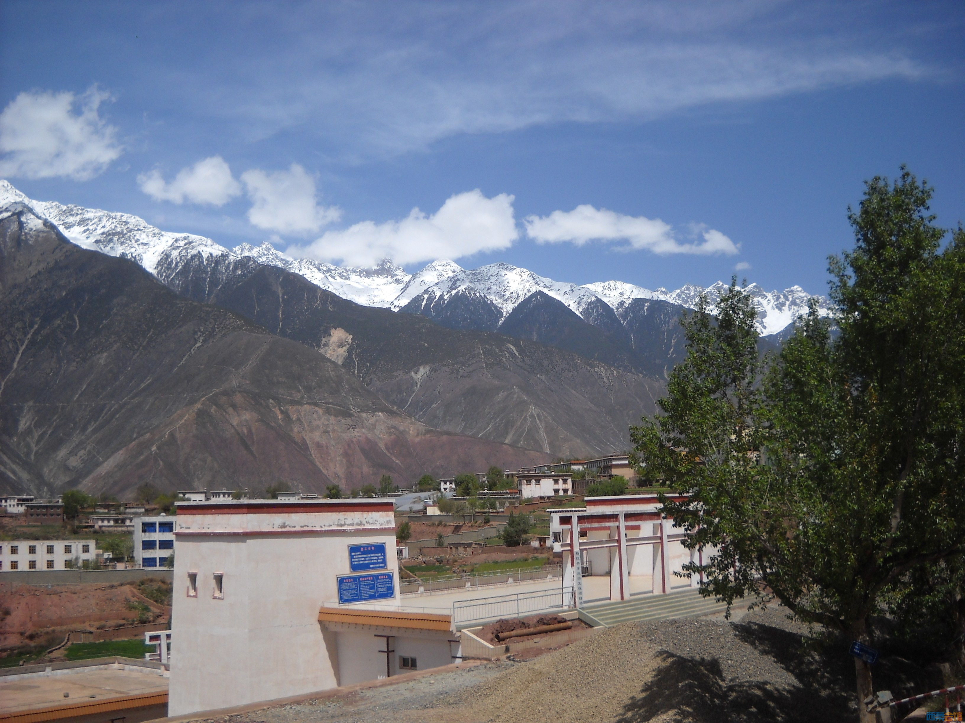 DSCN8302.jpg