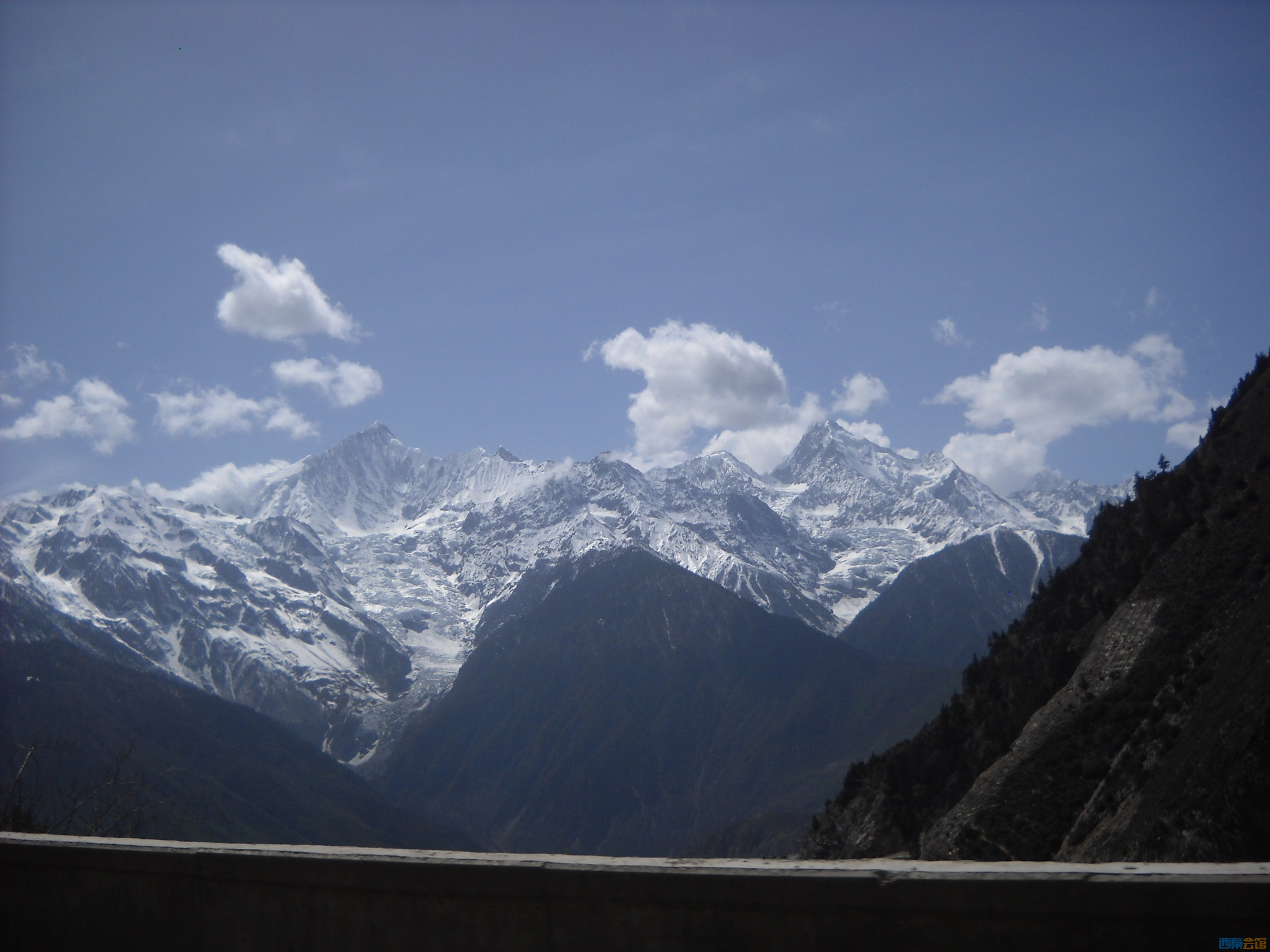 DSCN8468.jpg