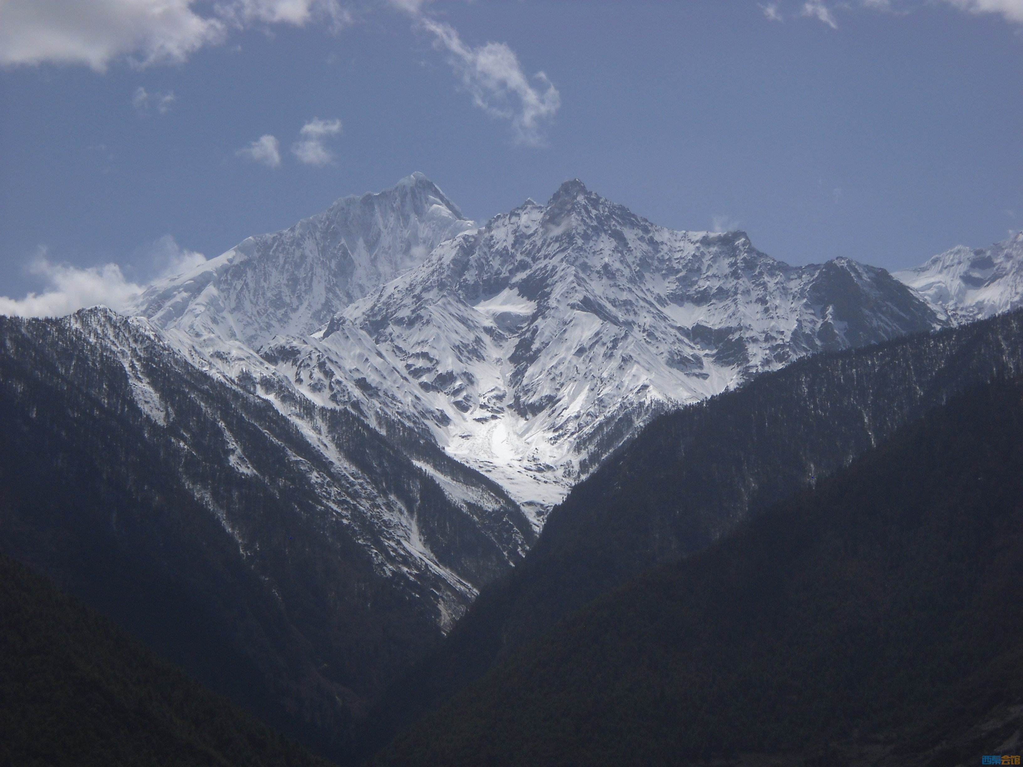 DSCN8445.jpg