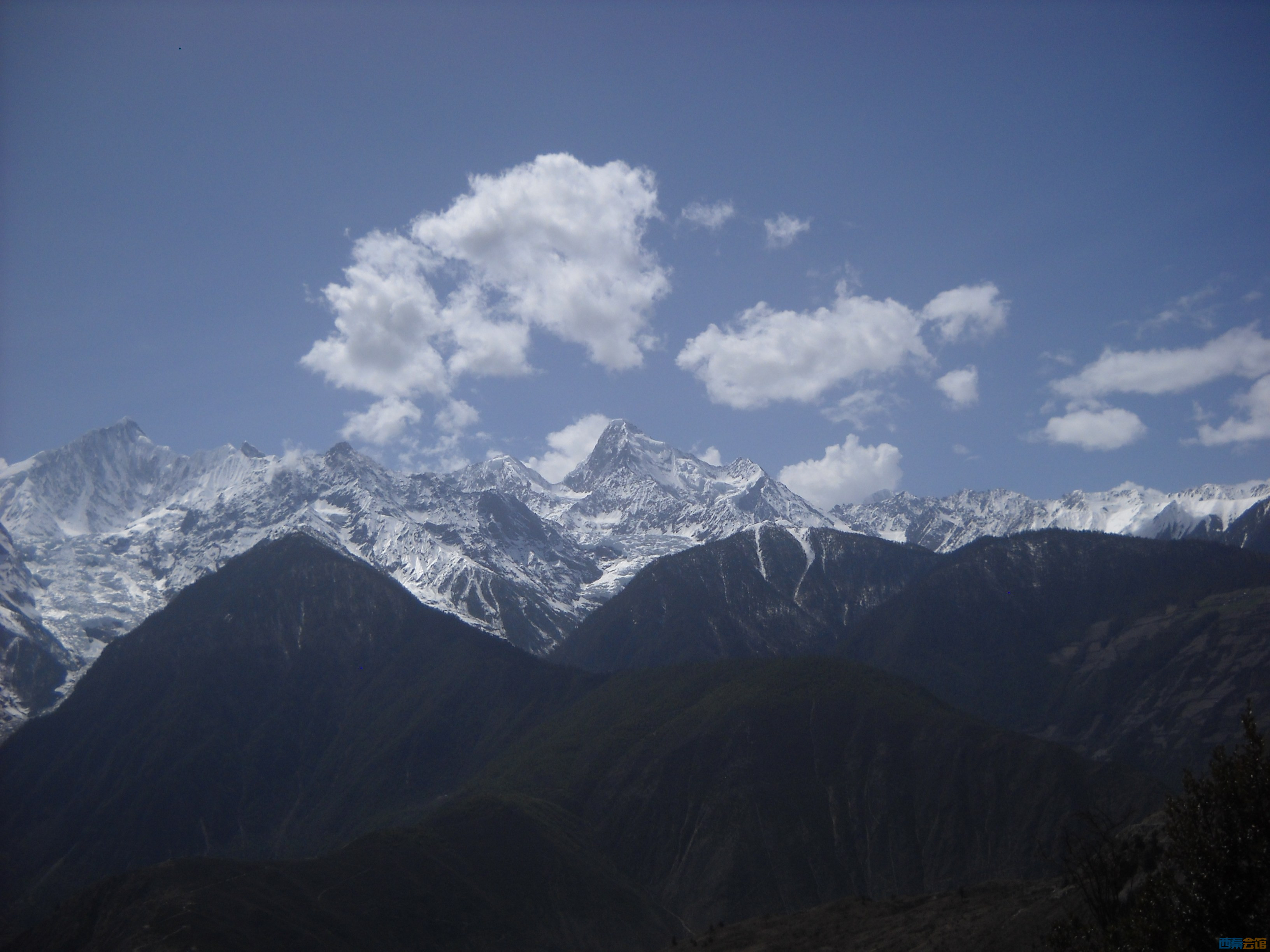 DSCN8457.jpg