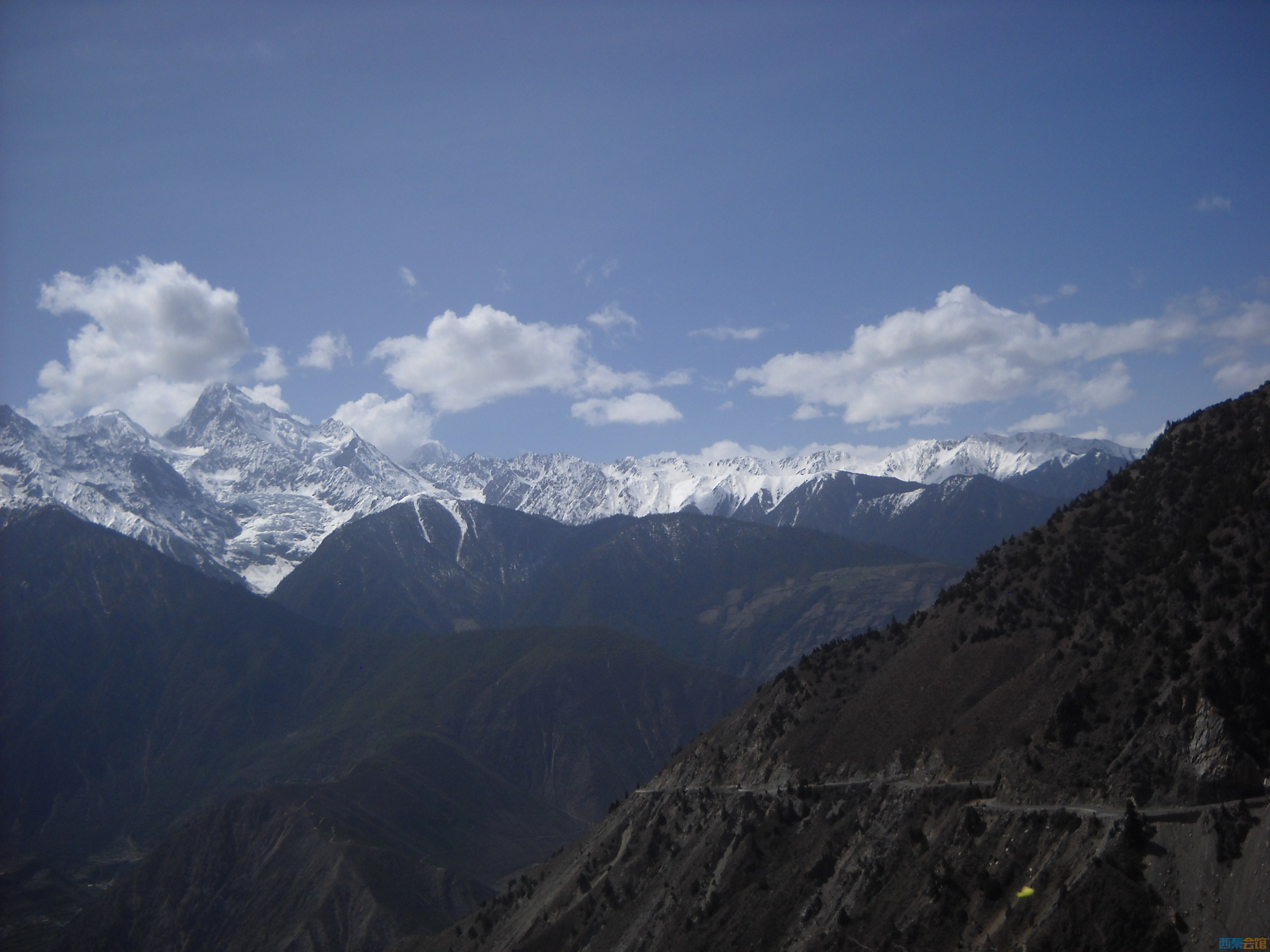 DSCN8473.jpg
