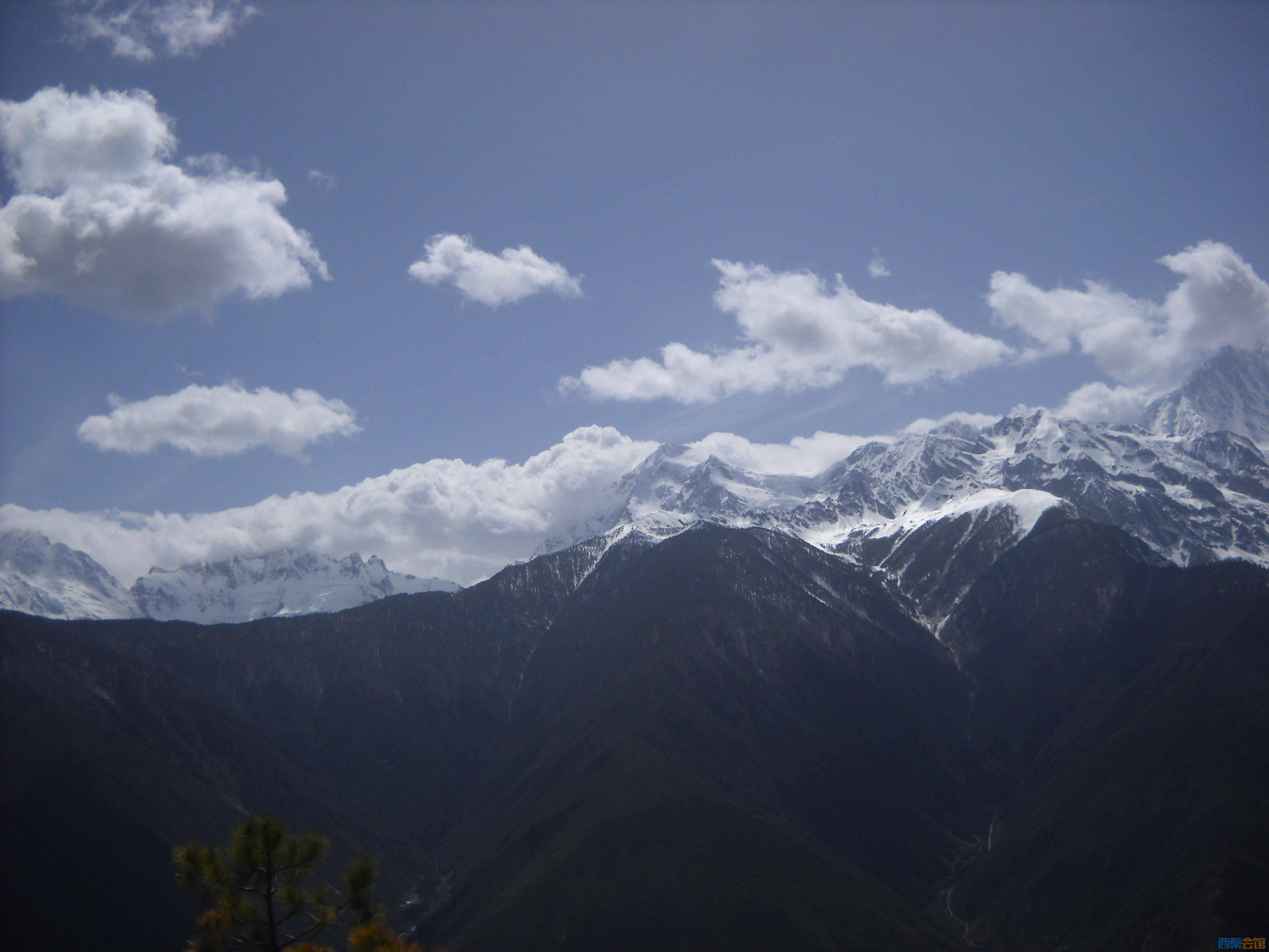 DSCN8481.jpg