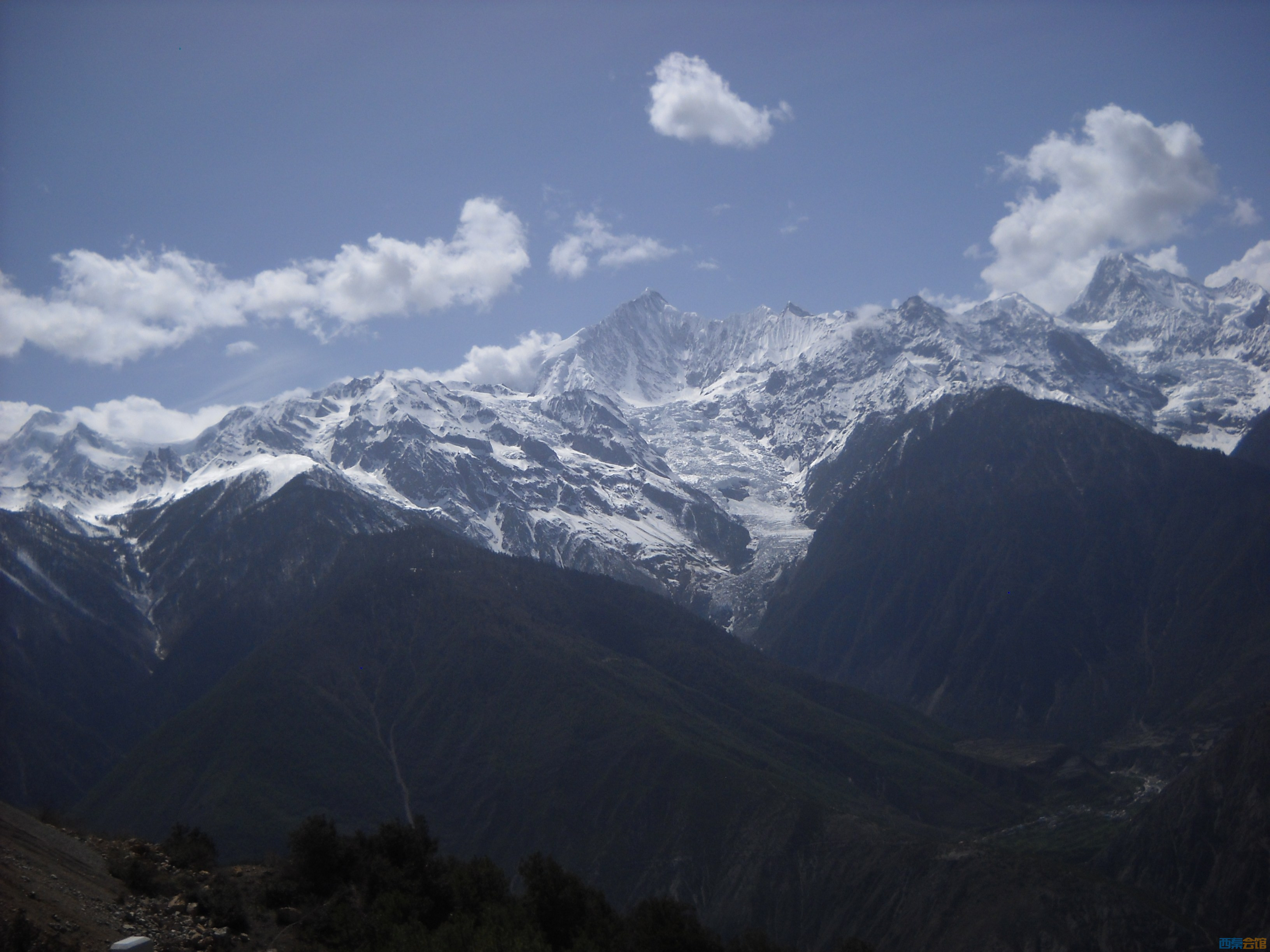 DSCN8475.jpg