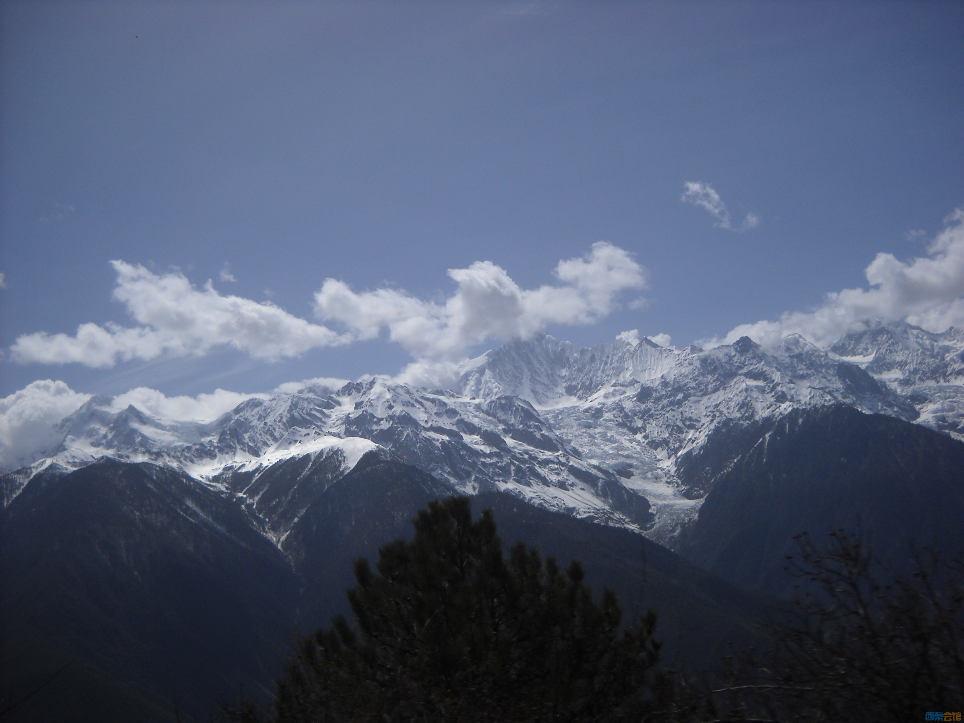 DSCN8479.jpg