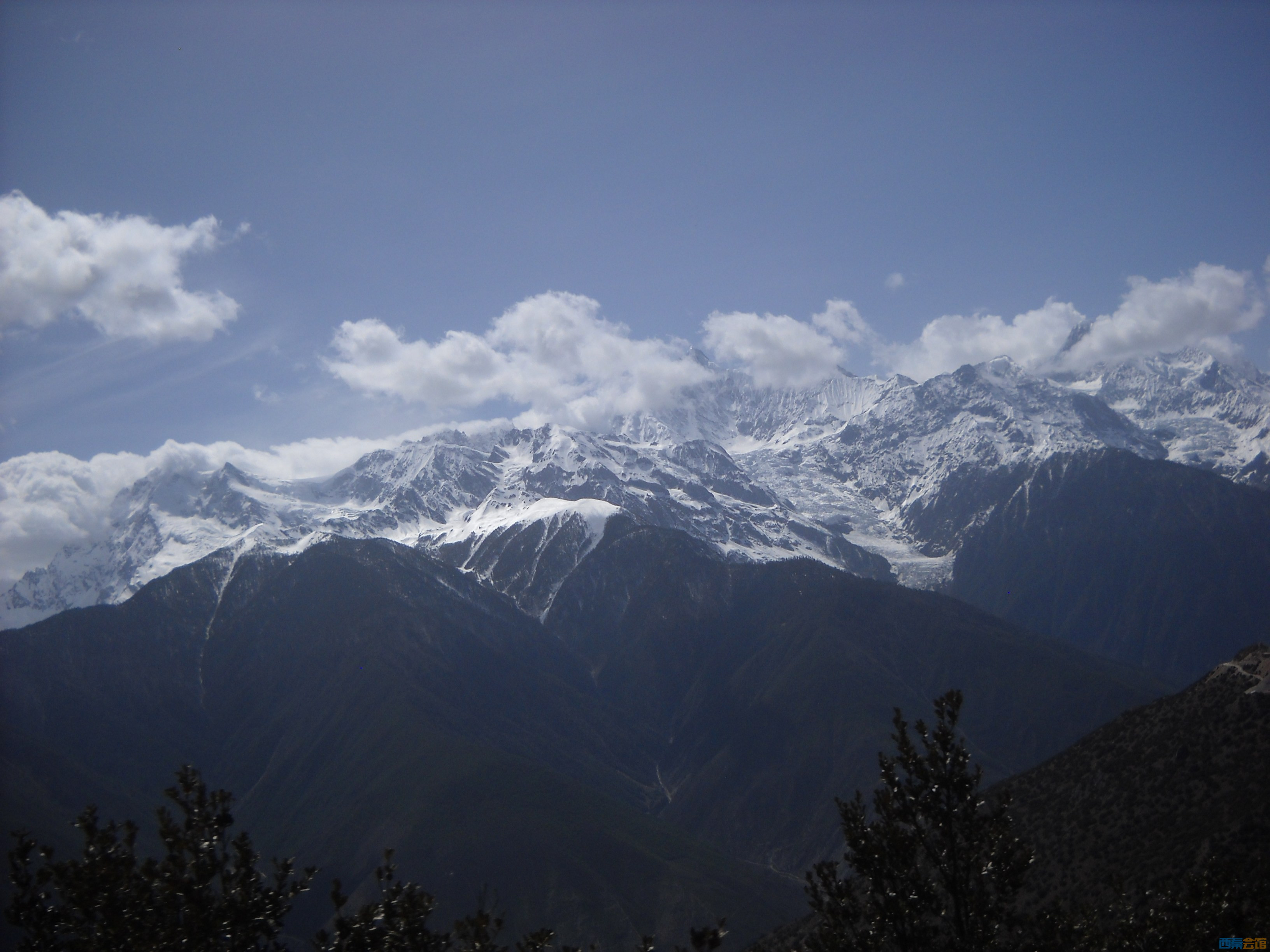 DSCN8489.jpg
