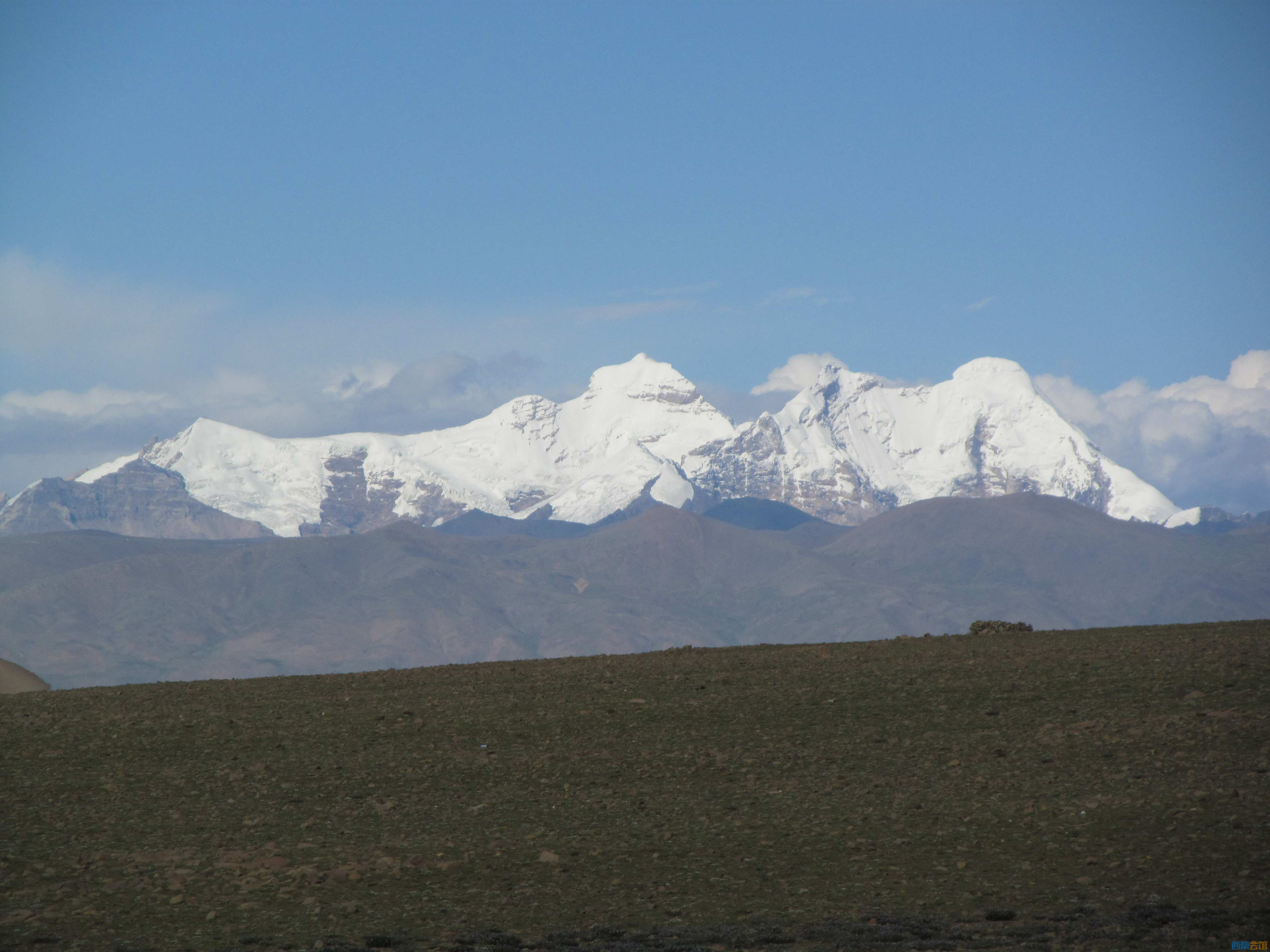 IMG_8134.JPG