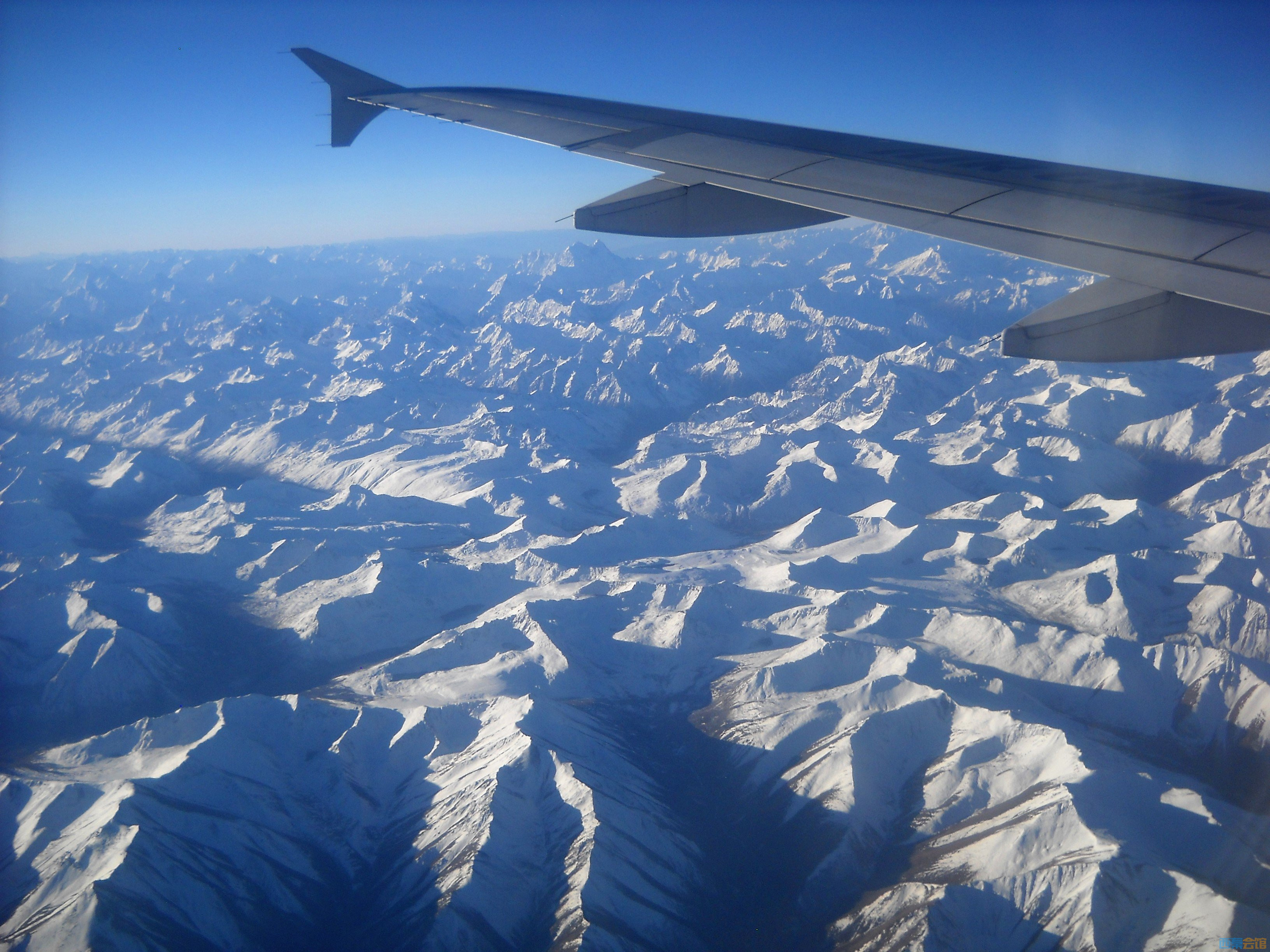 DSCN2273.jpg