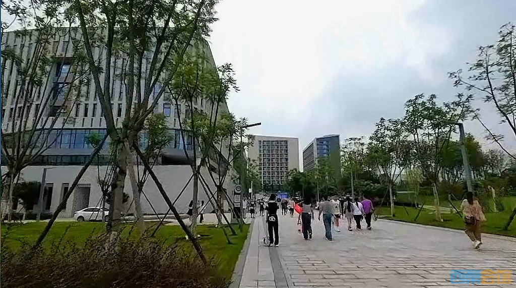 conew_qqͼ20230825201020.jpg