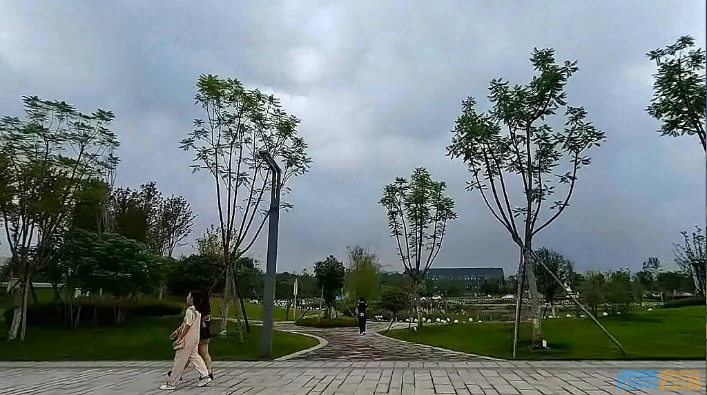 conew_qqͼ20230825201141.jpg
