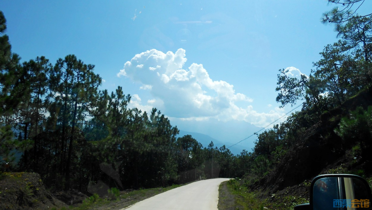 conew_dscn0707.jpg