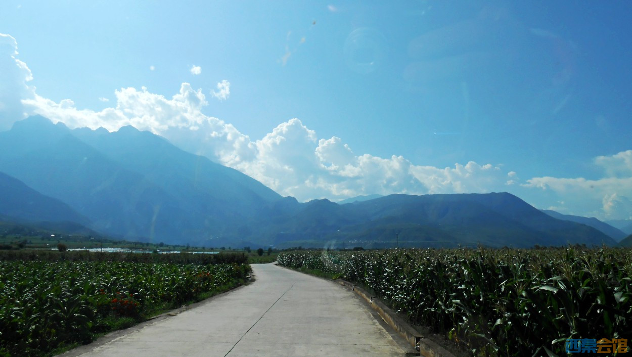 conew_dscn0710.jpg