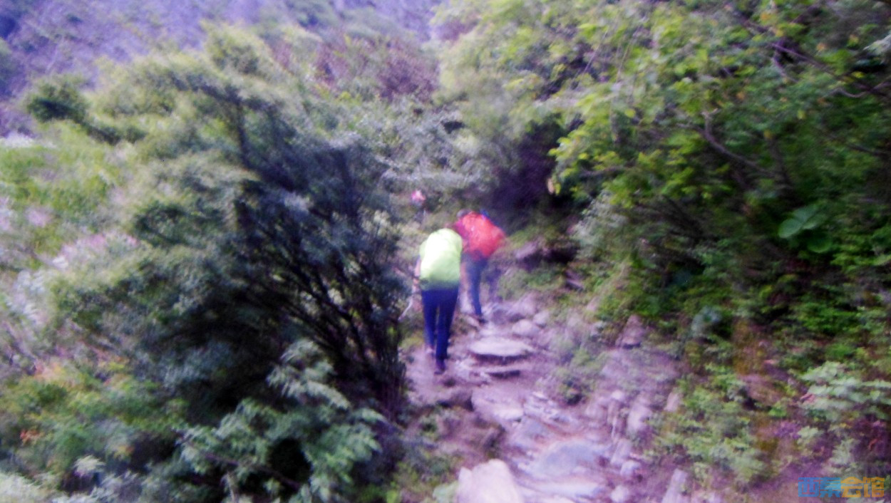 conew_dscn0326.jpg