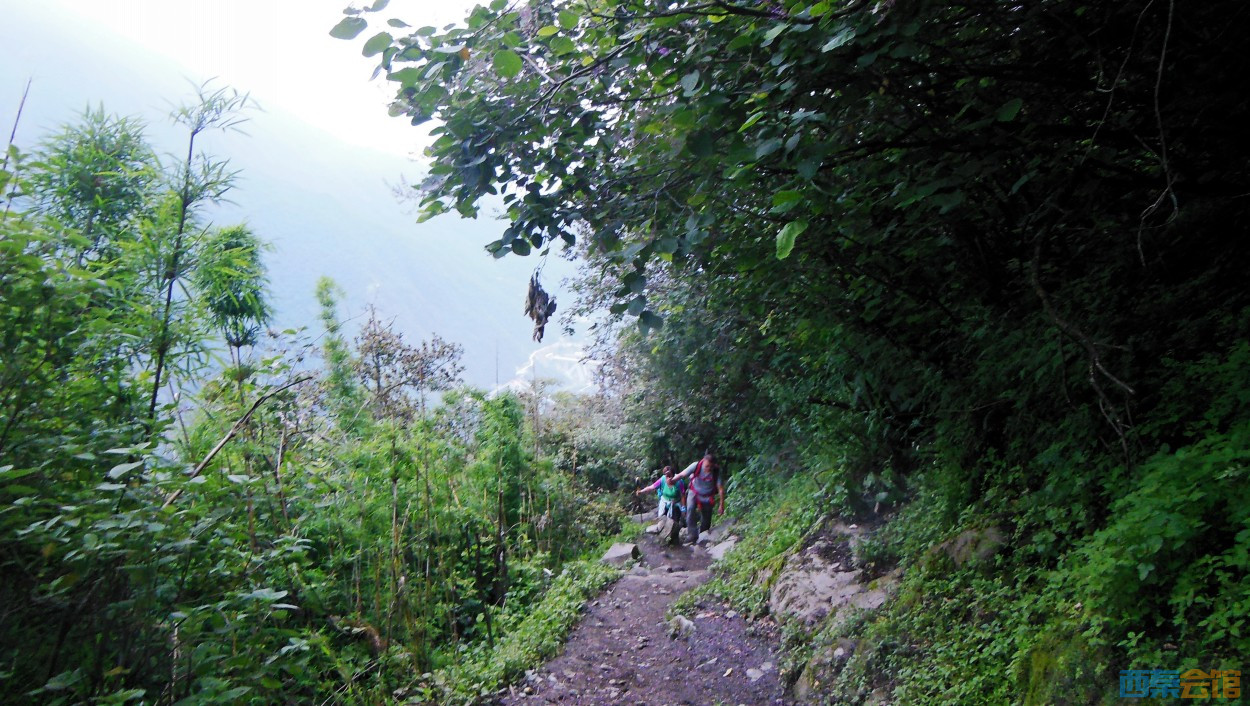 conew_dscn0334.jpg
